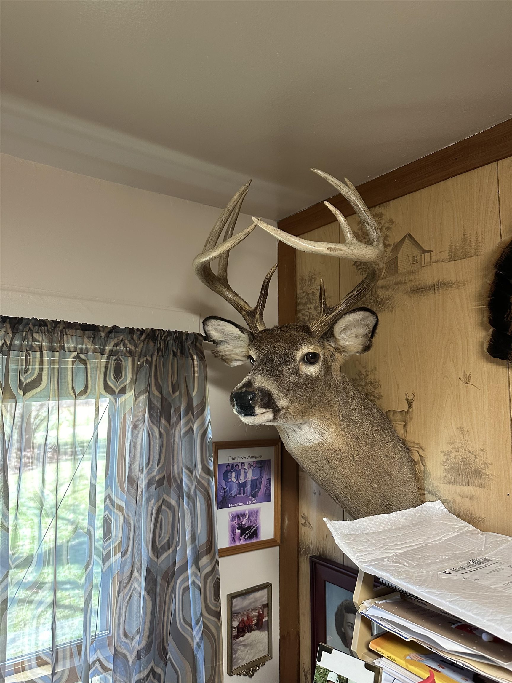 Property photo 40
