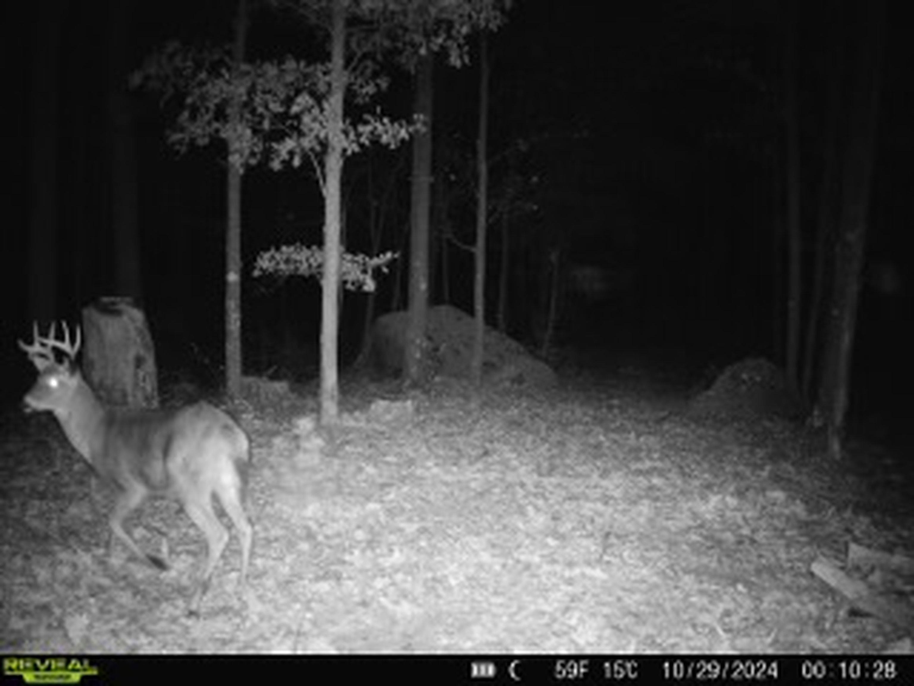 Property photo 49