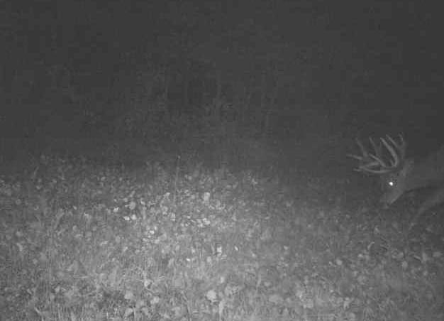 Property photo 29