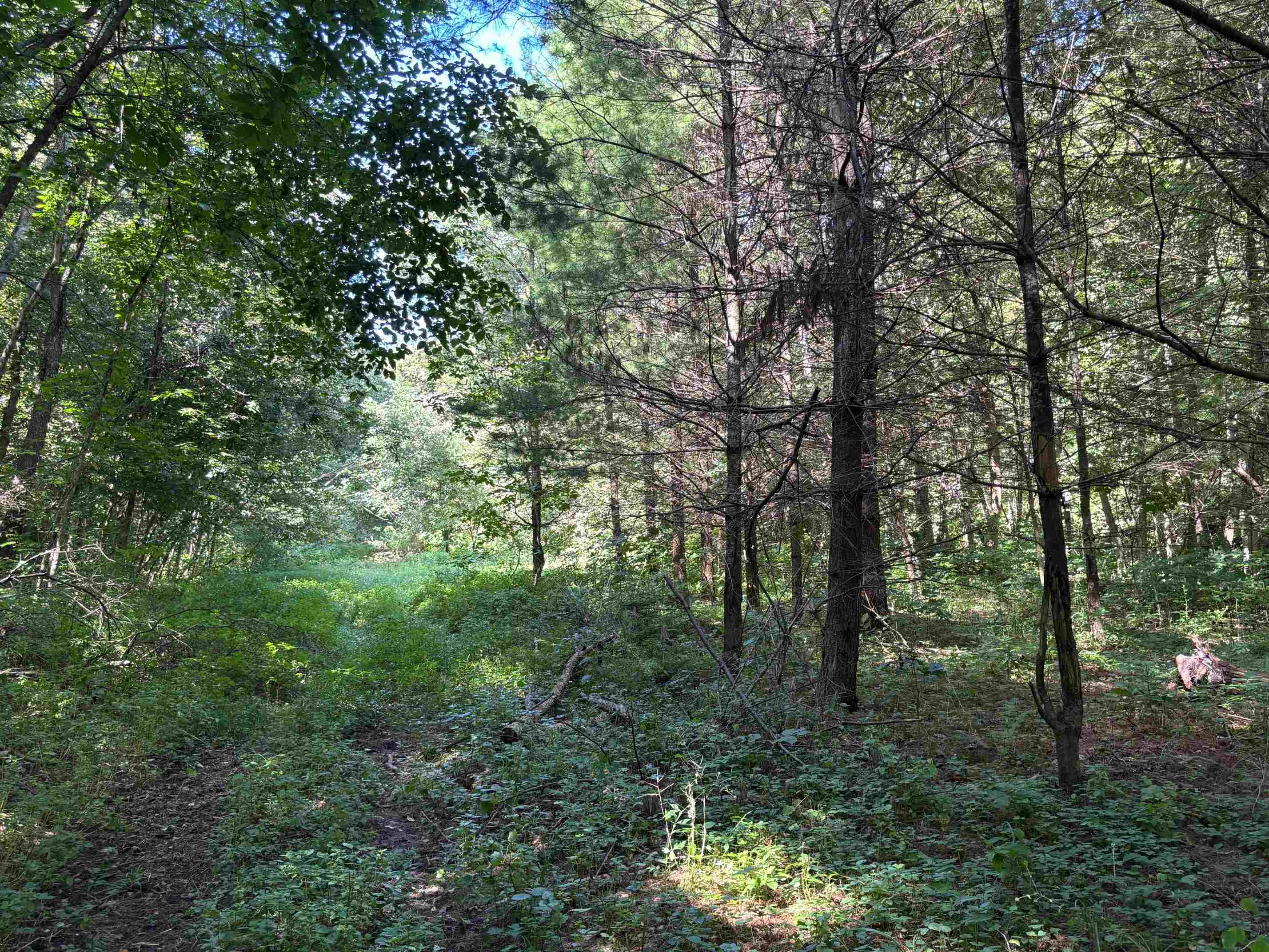 Property photo 36