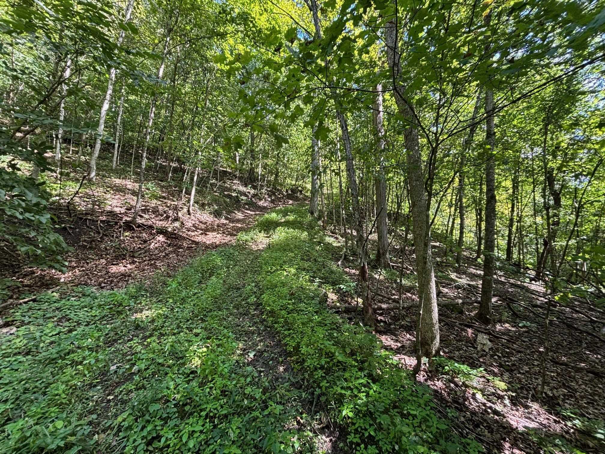Property photo 41
