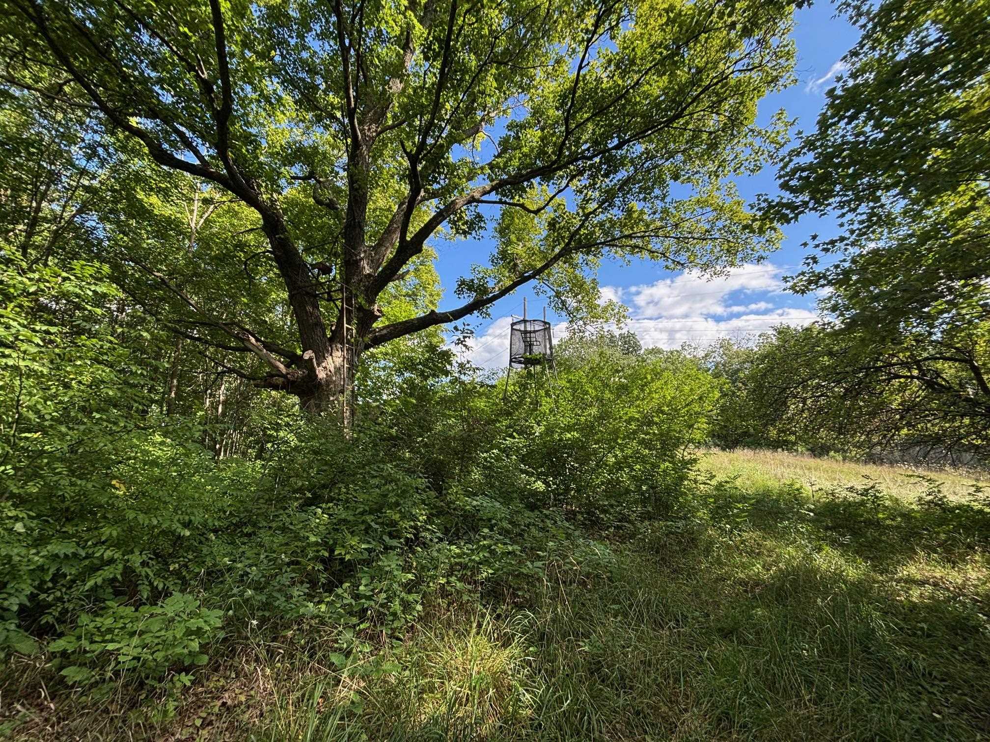 Property photo 34