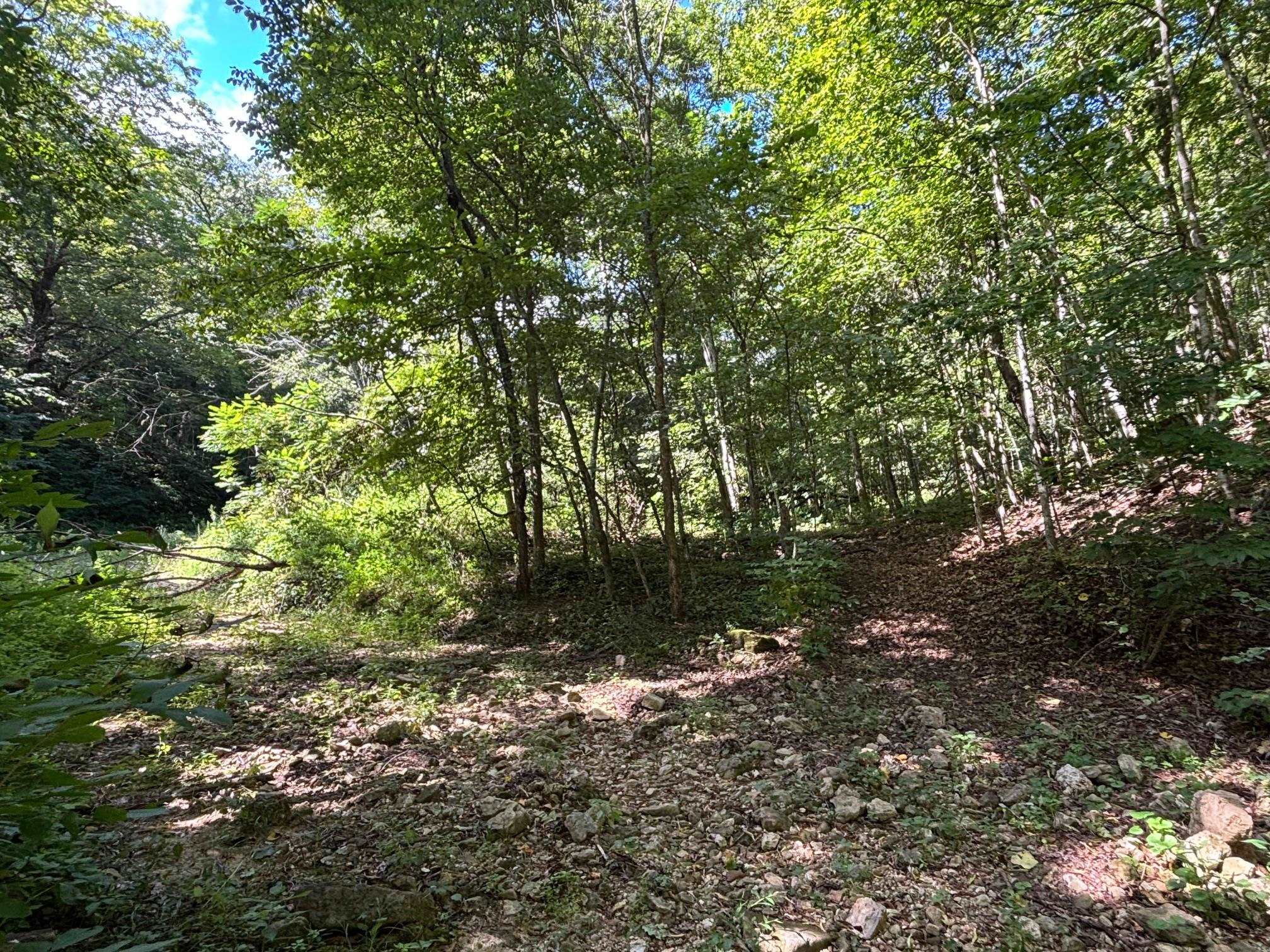 Property photo 38