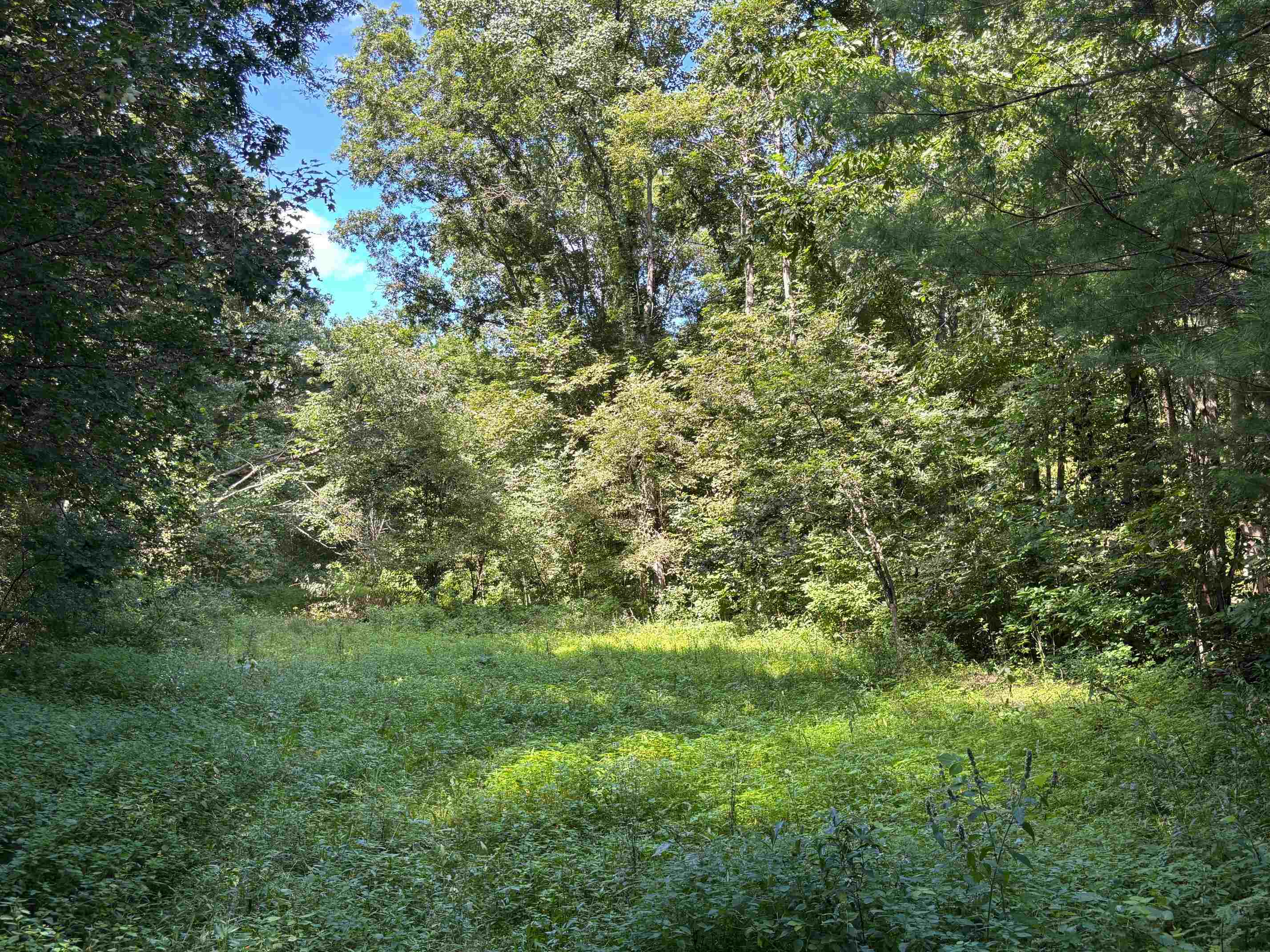 Property photo 40