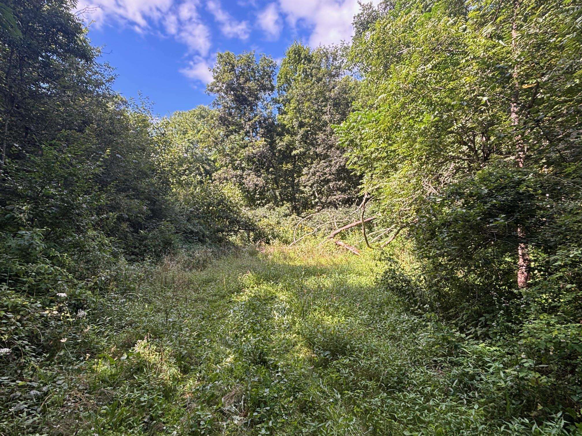 Property photo 39
