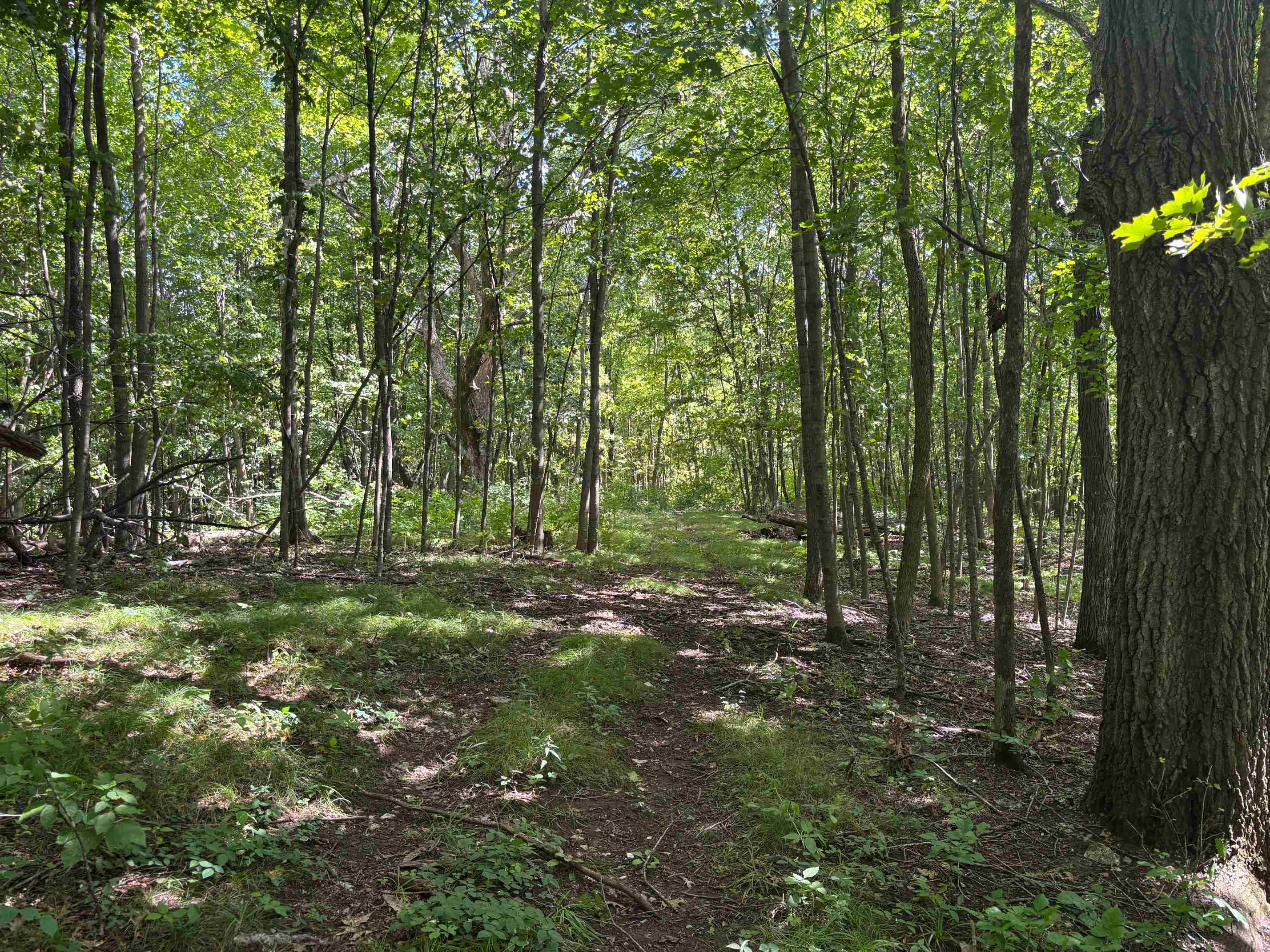 Property photo 42