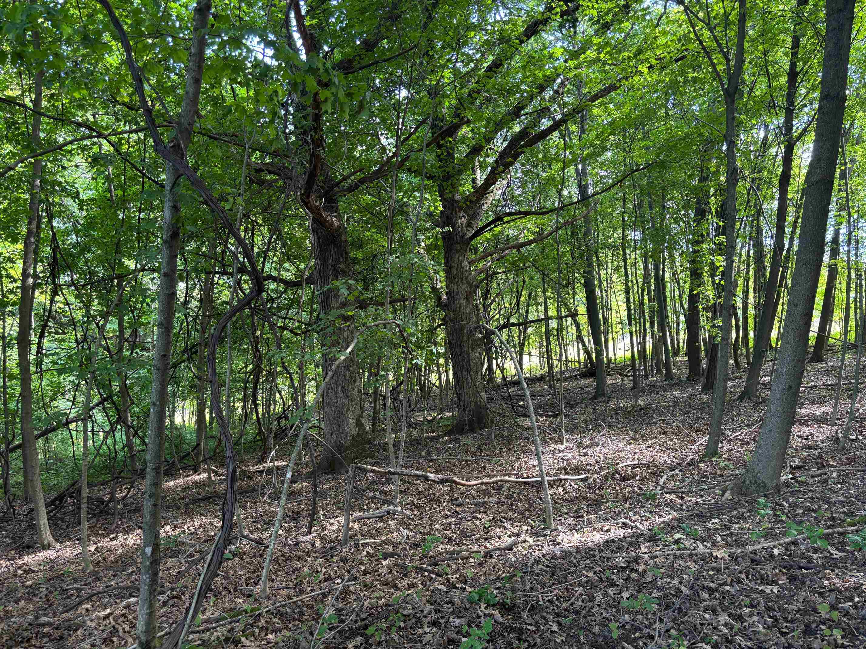 Property photo 43