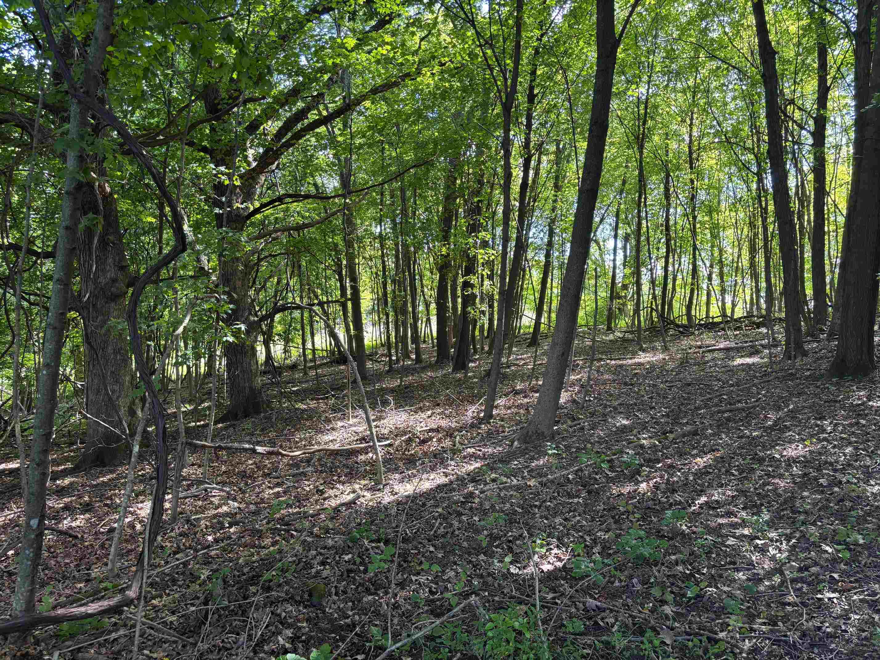 Property photo 44