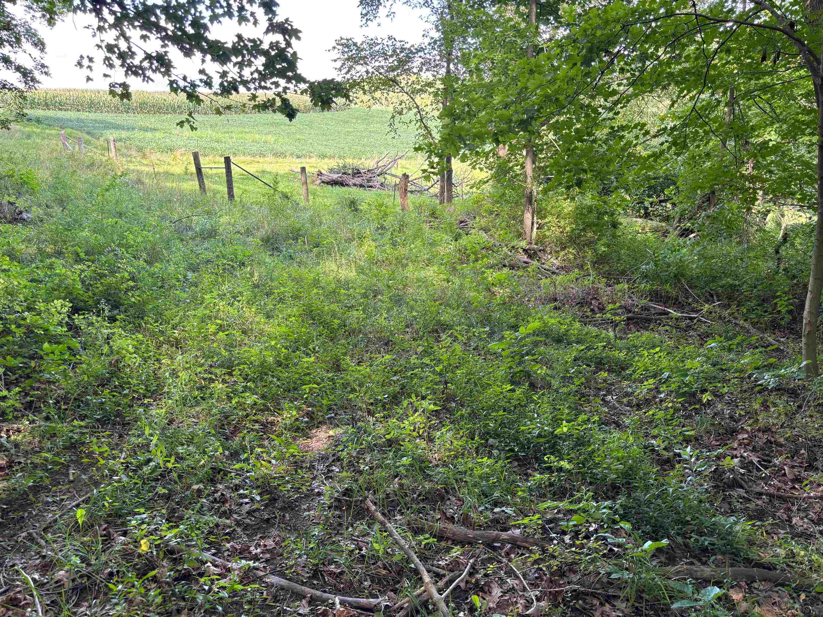 Property photo 45