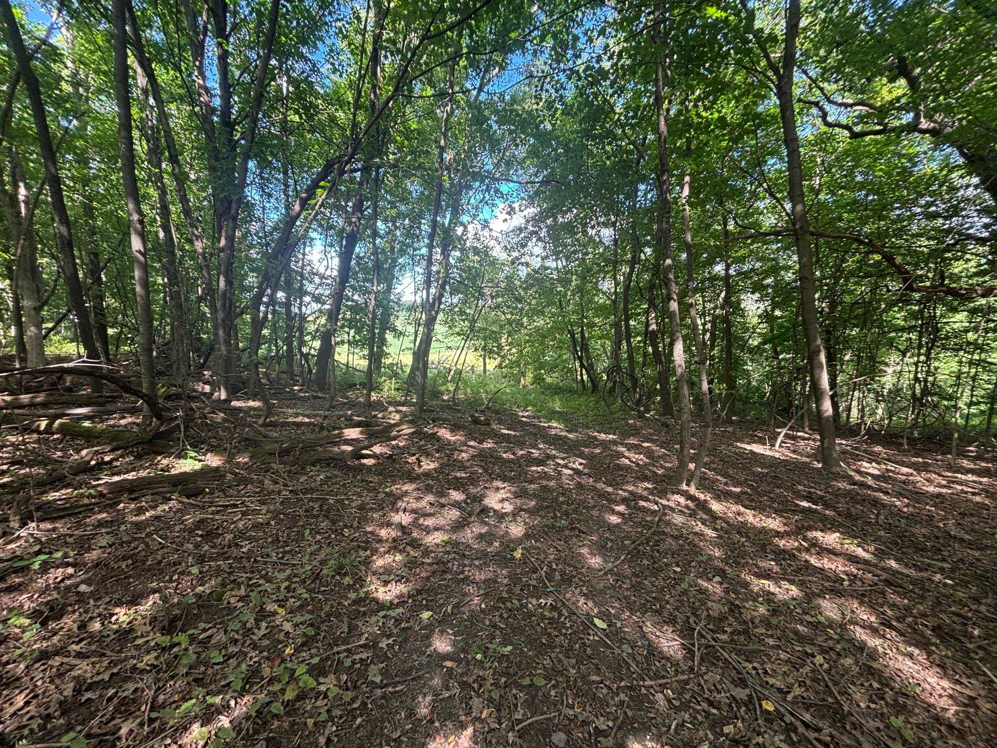 Property photo 46