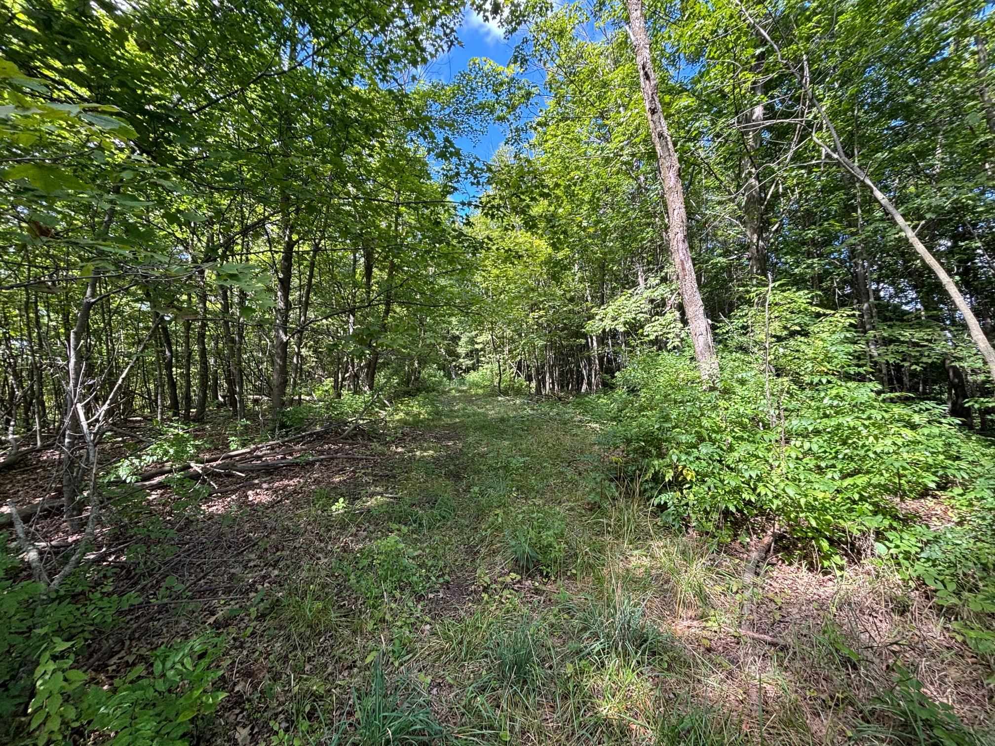 Property photo 47