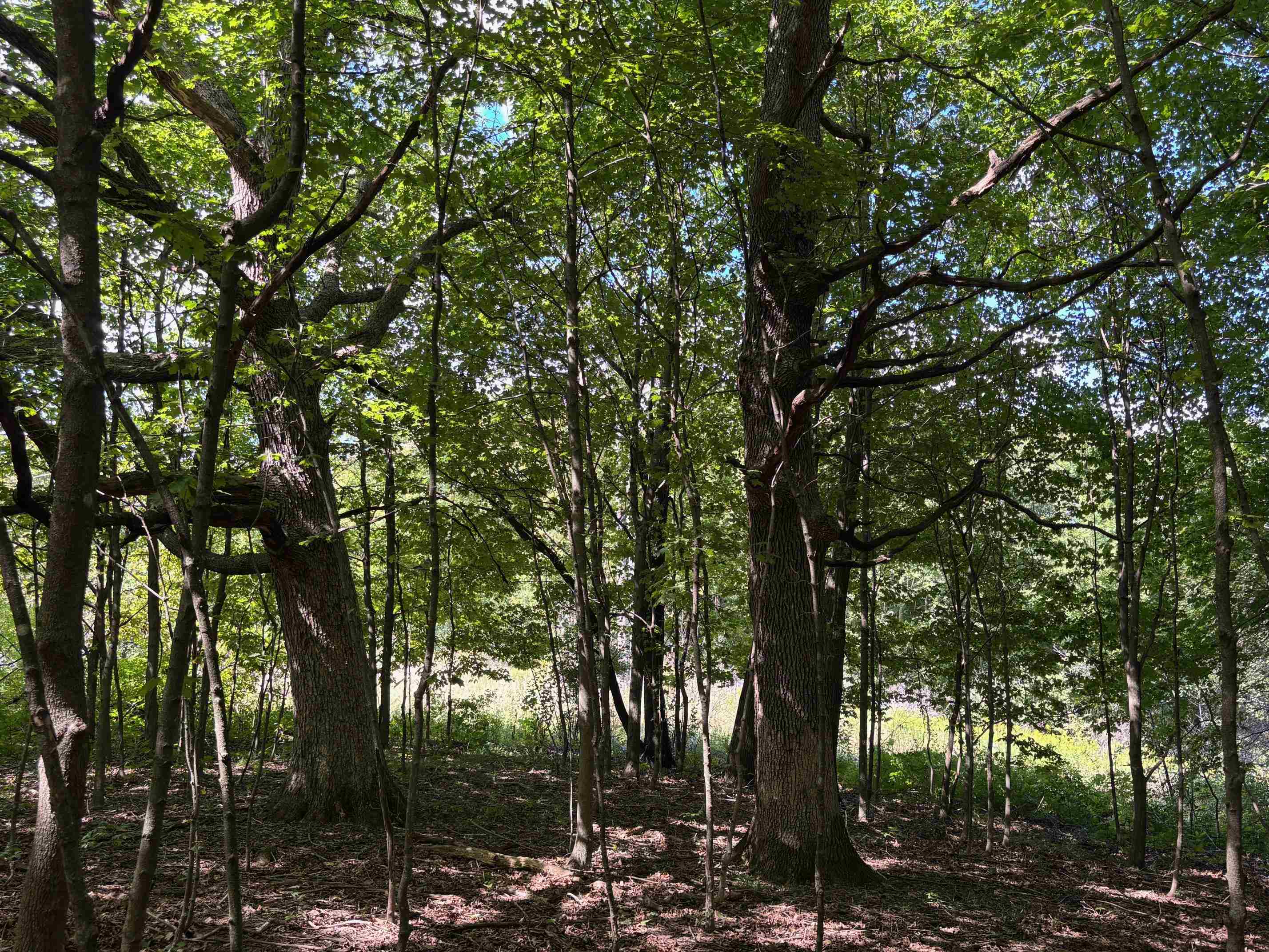 Property photo 48
