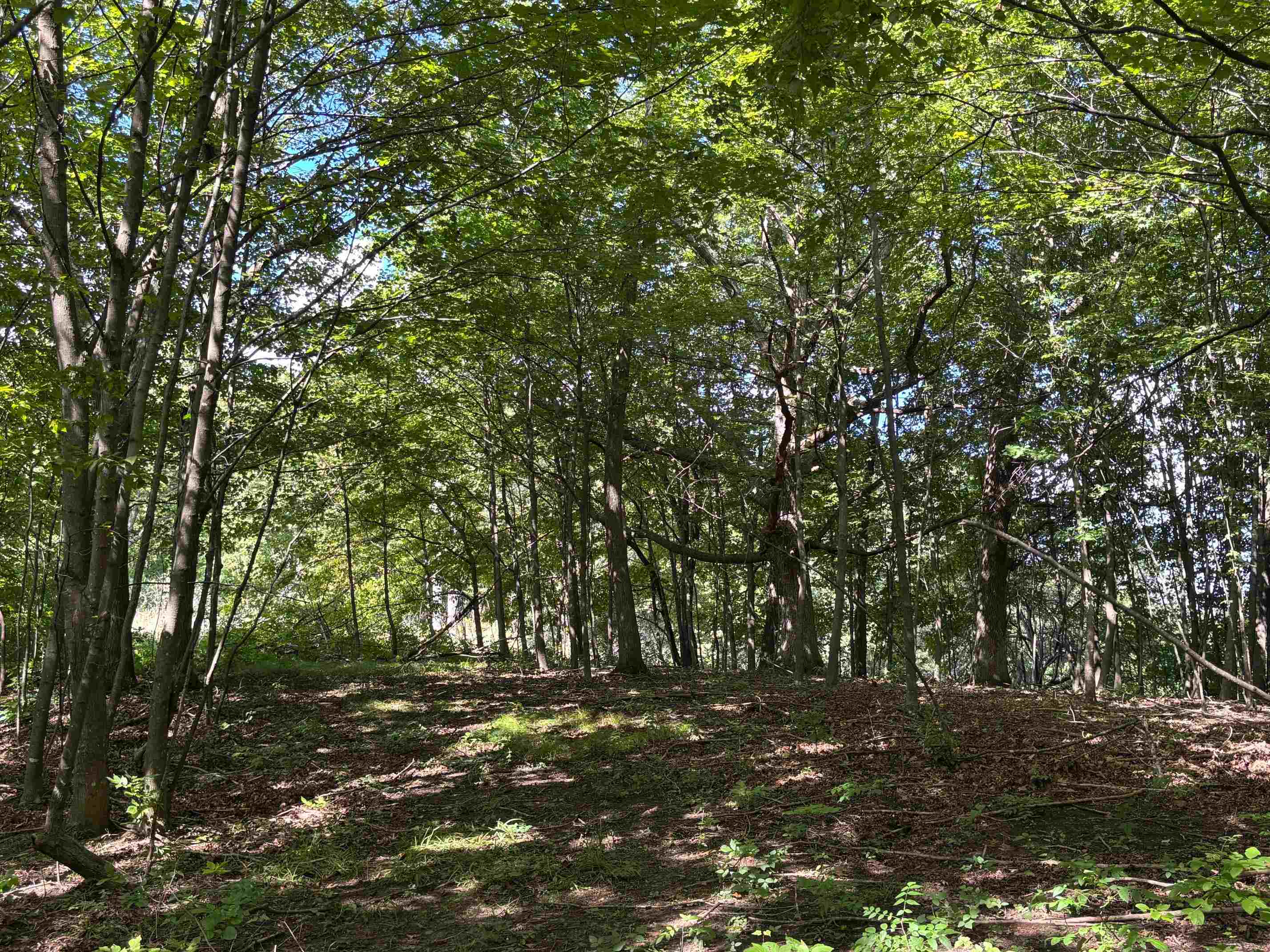 Property photo 49