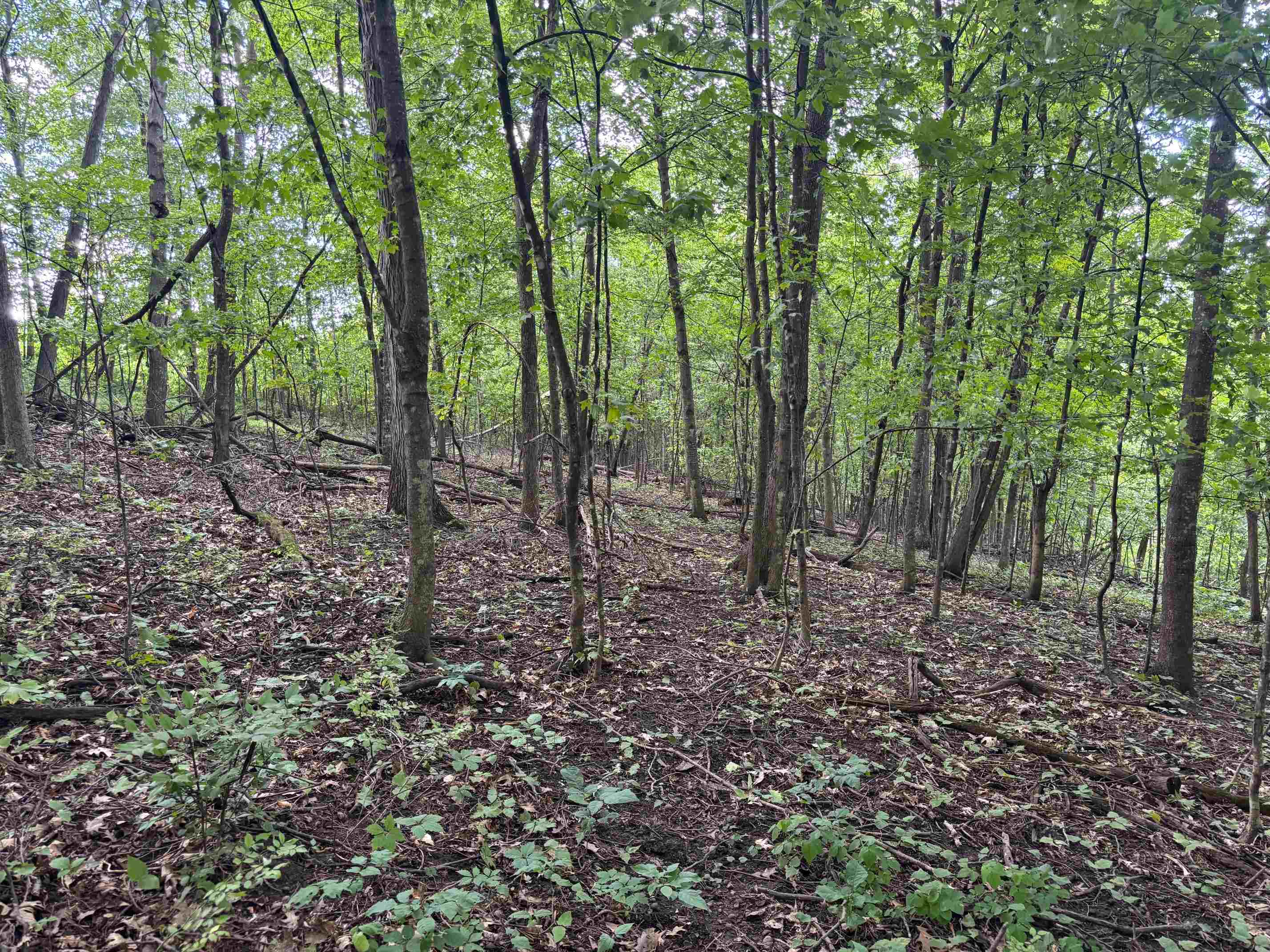 Property photo 53