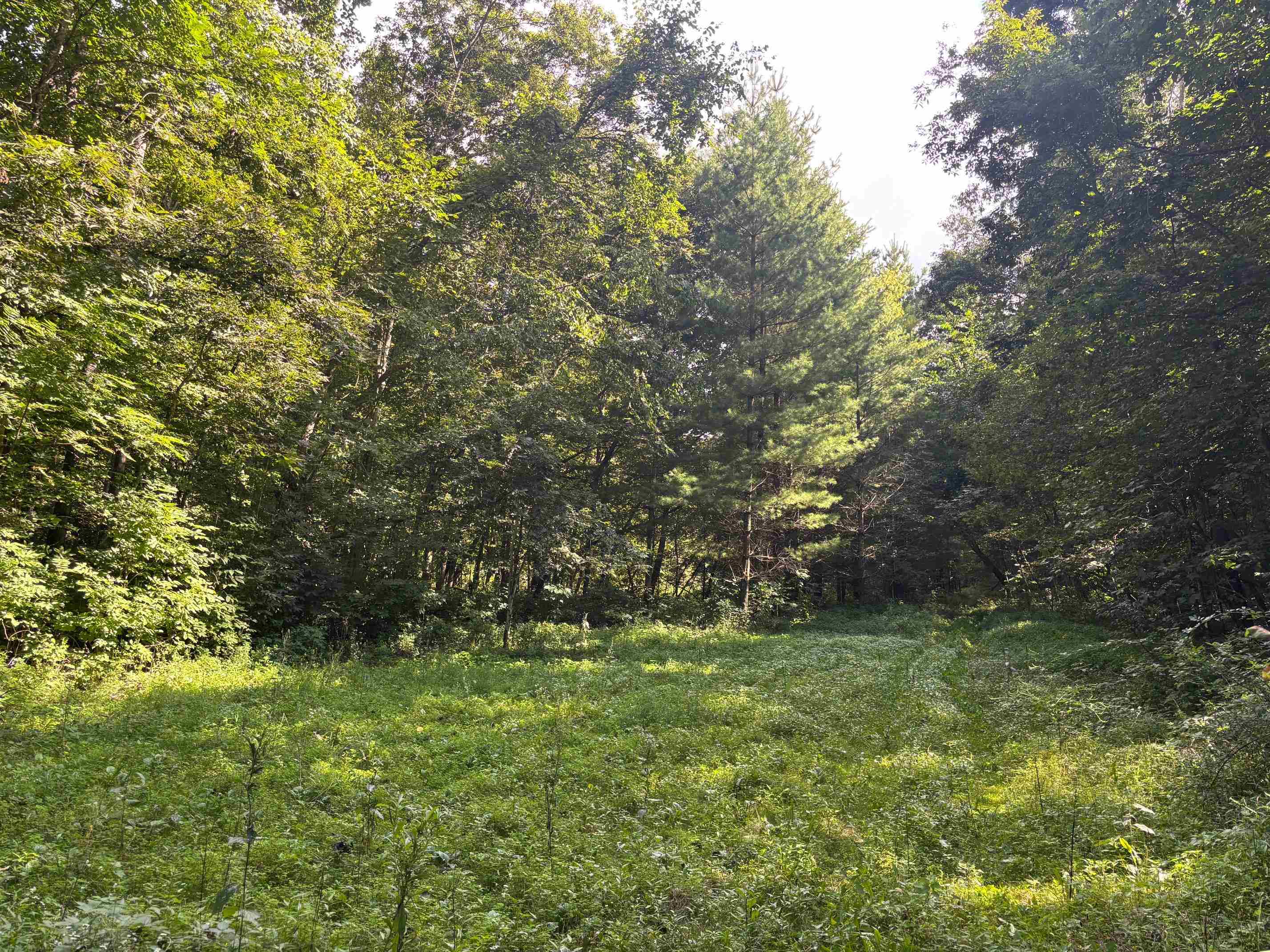 Property photo 21