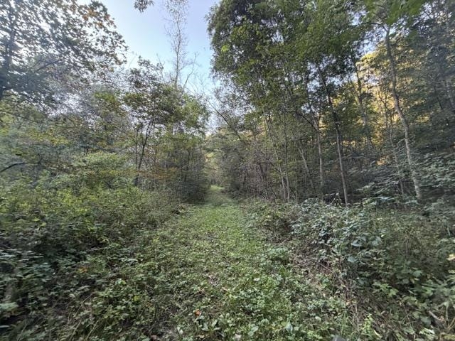 Property photo 60