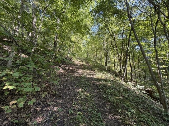 Property photo 61