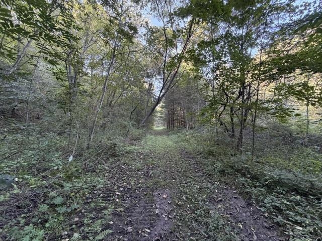 Property photo 62