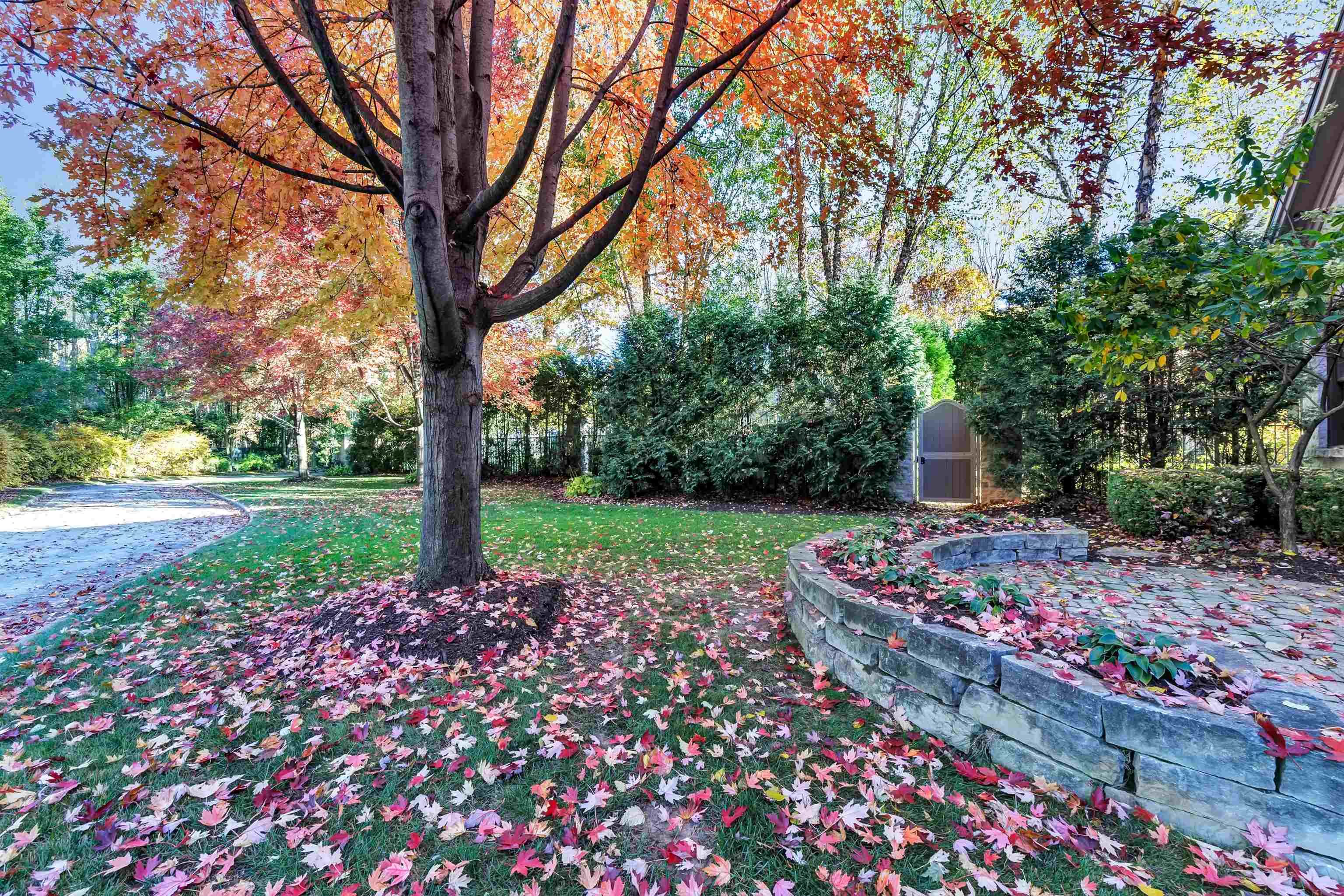 Property photo 70