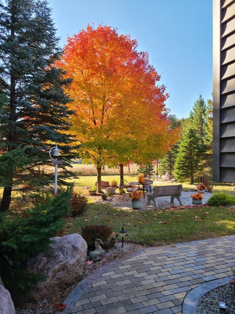 Property photo 35