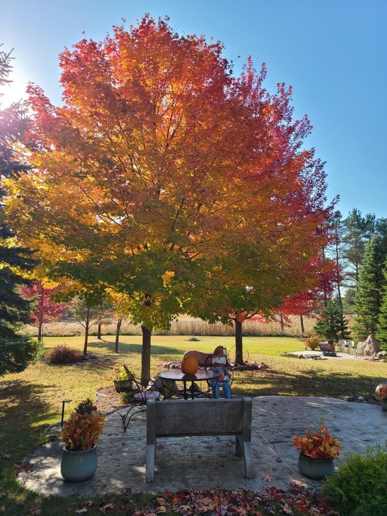 Property photo 43