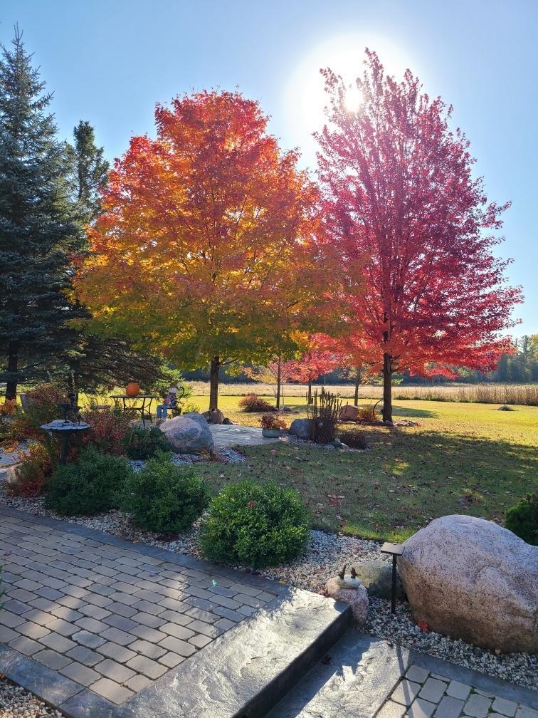Property photo 44