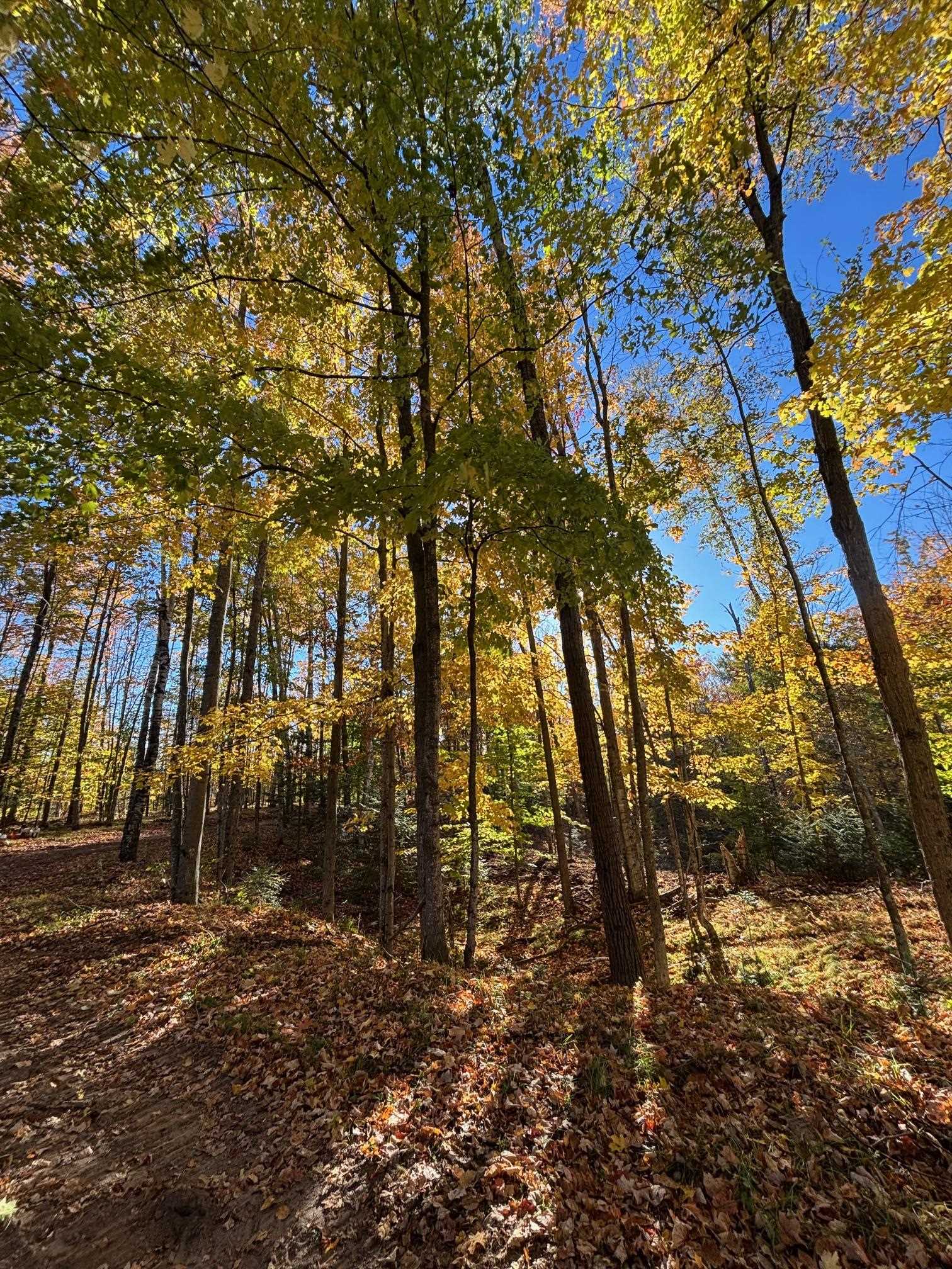 Property photo 61