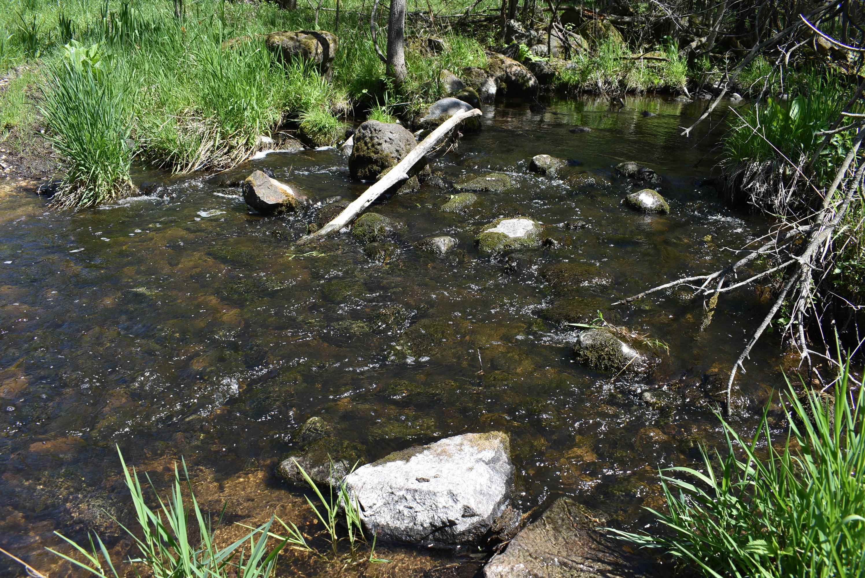Property photo 14