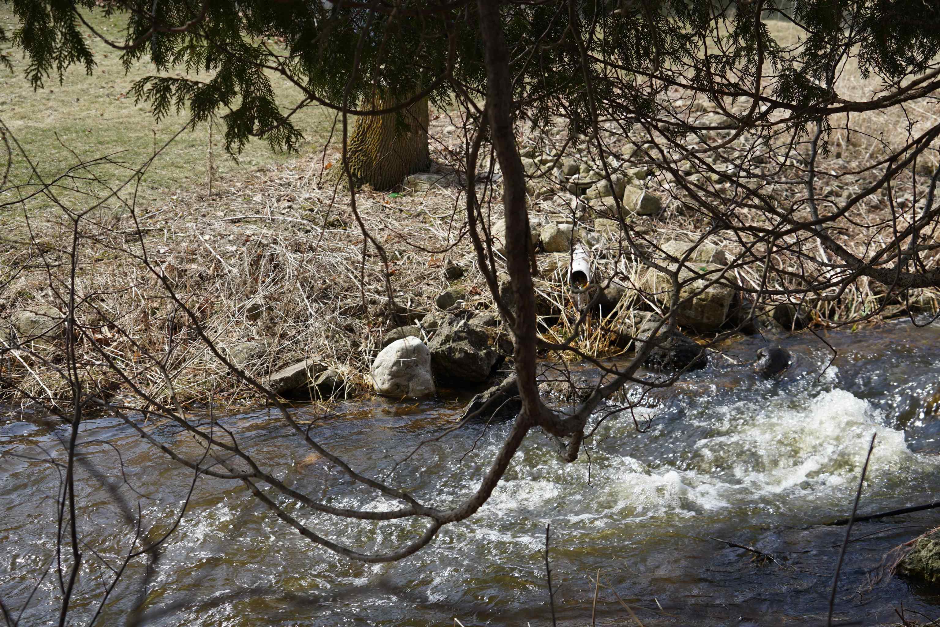 Property photo 43