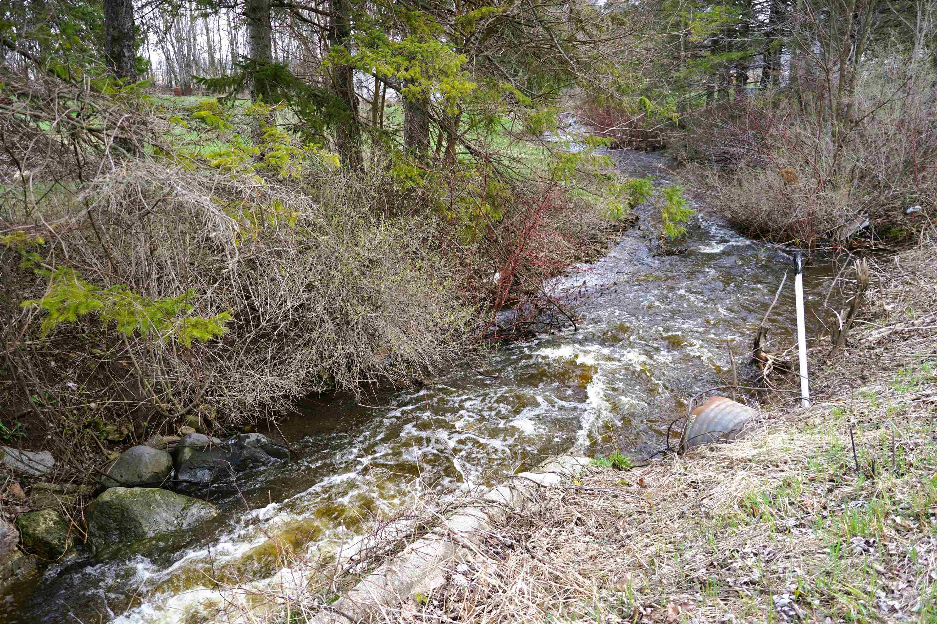 Property photo 44