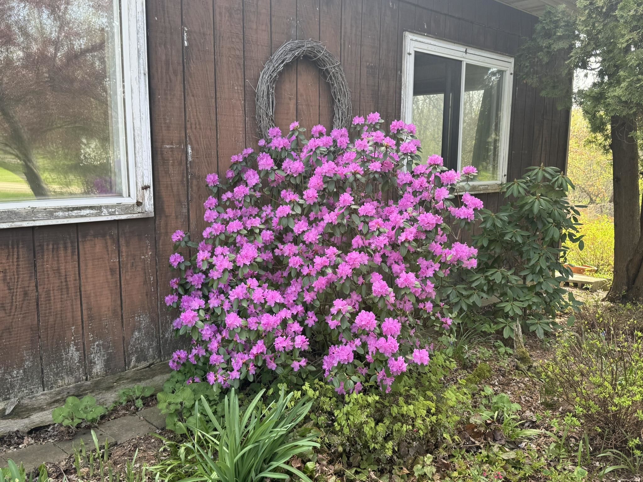 Property photo 13