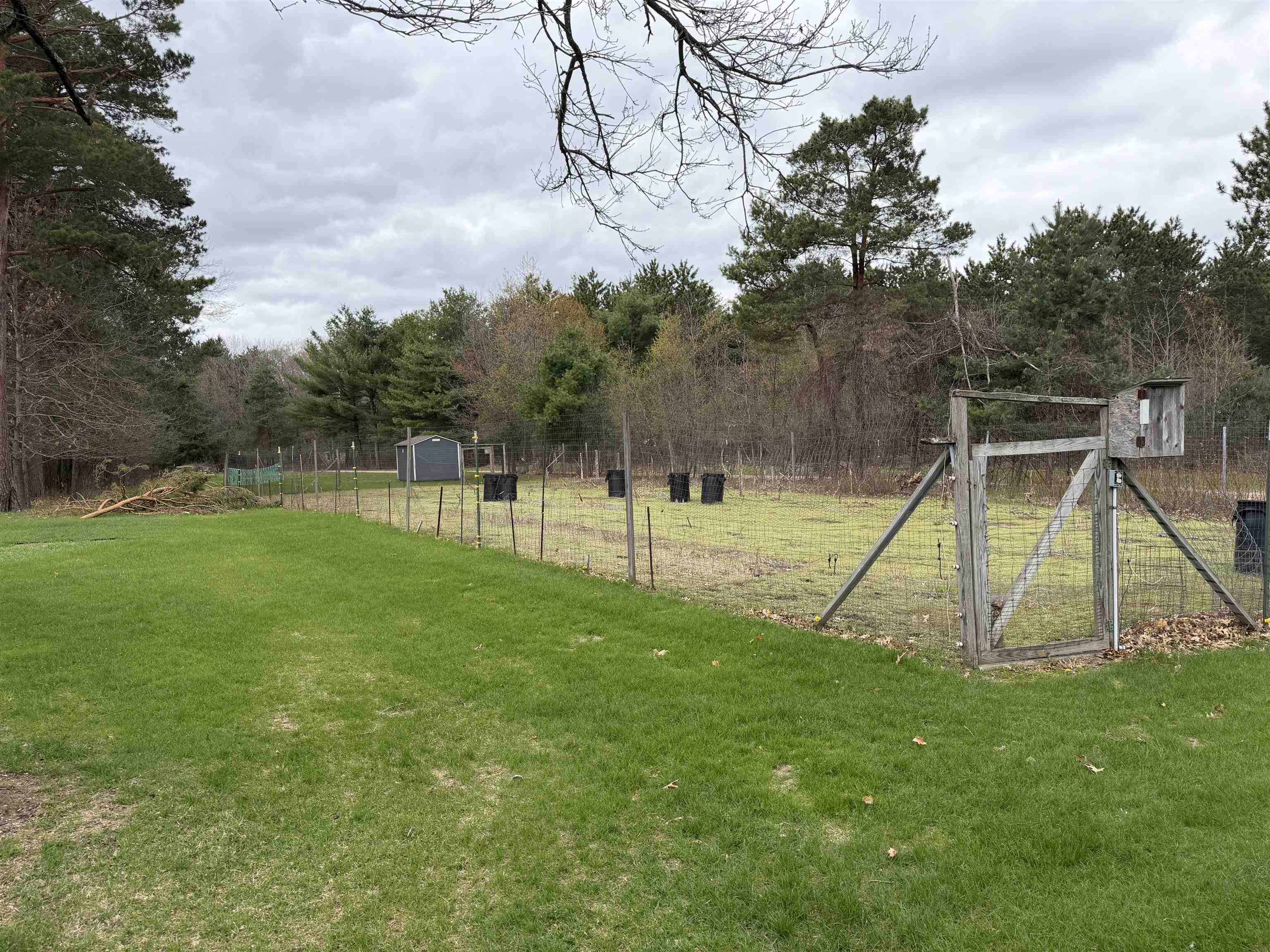 Property photo 46