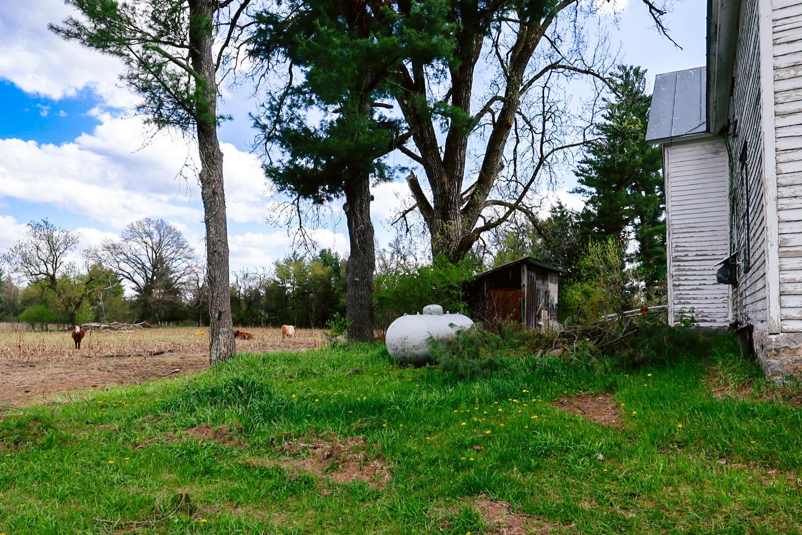 Property photo 45