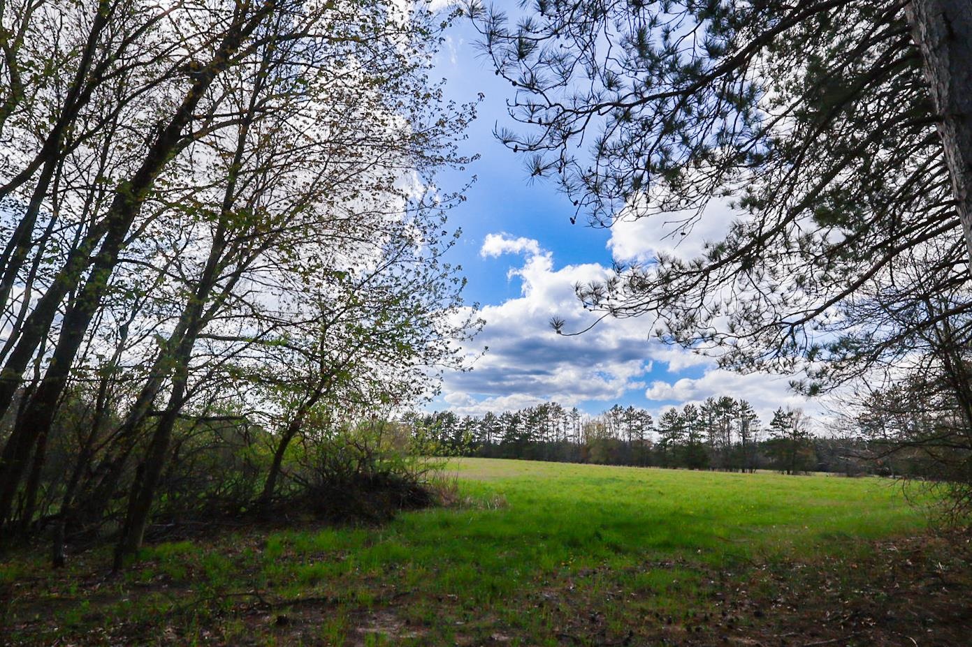 Property photo 65