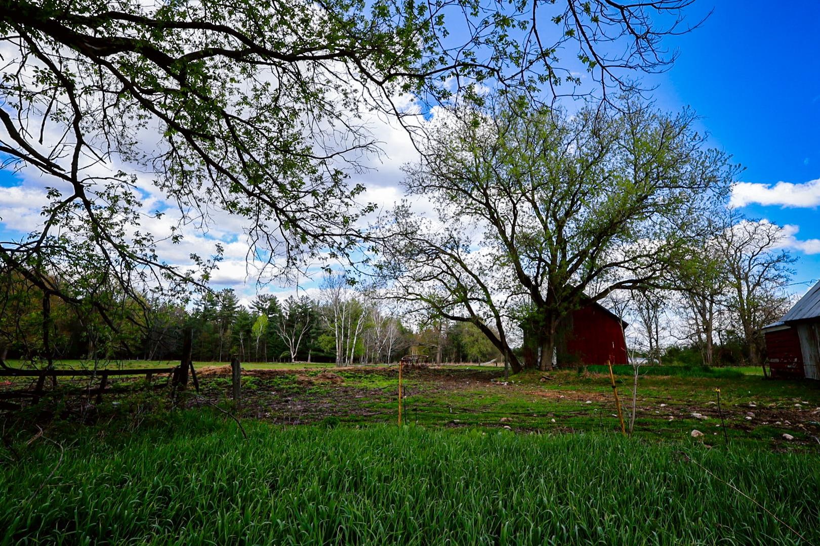 Property photo 68