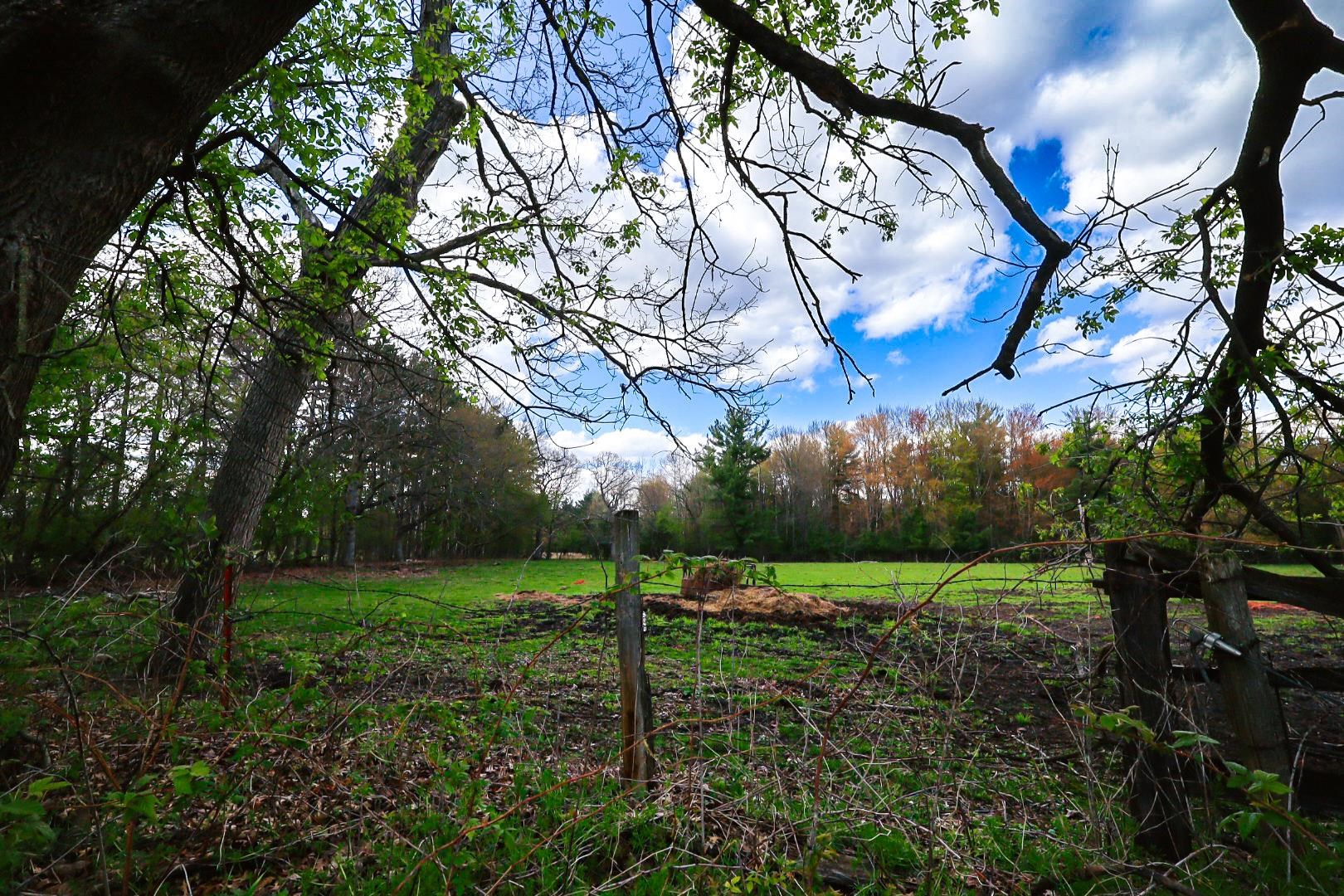 Property photo 69