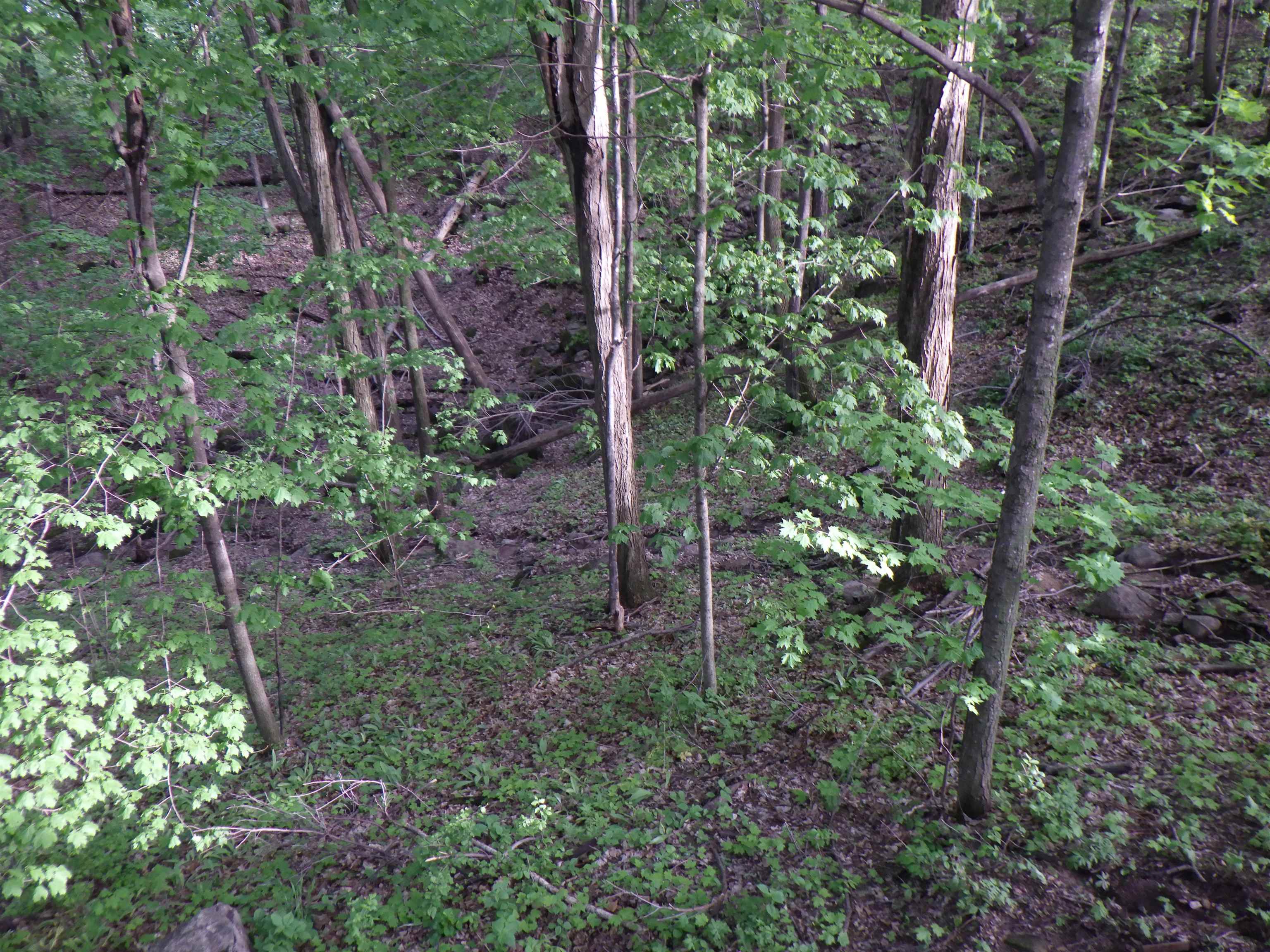 Property photo 51