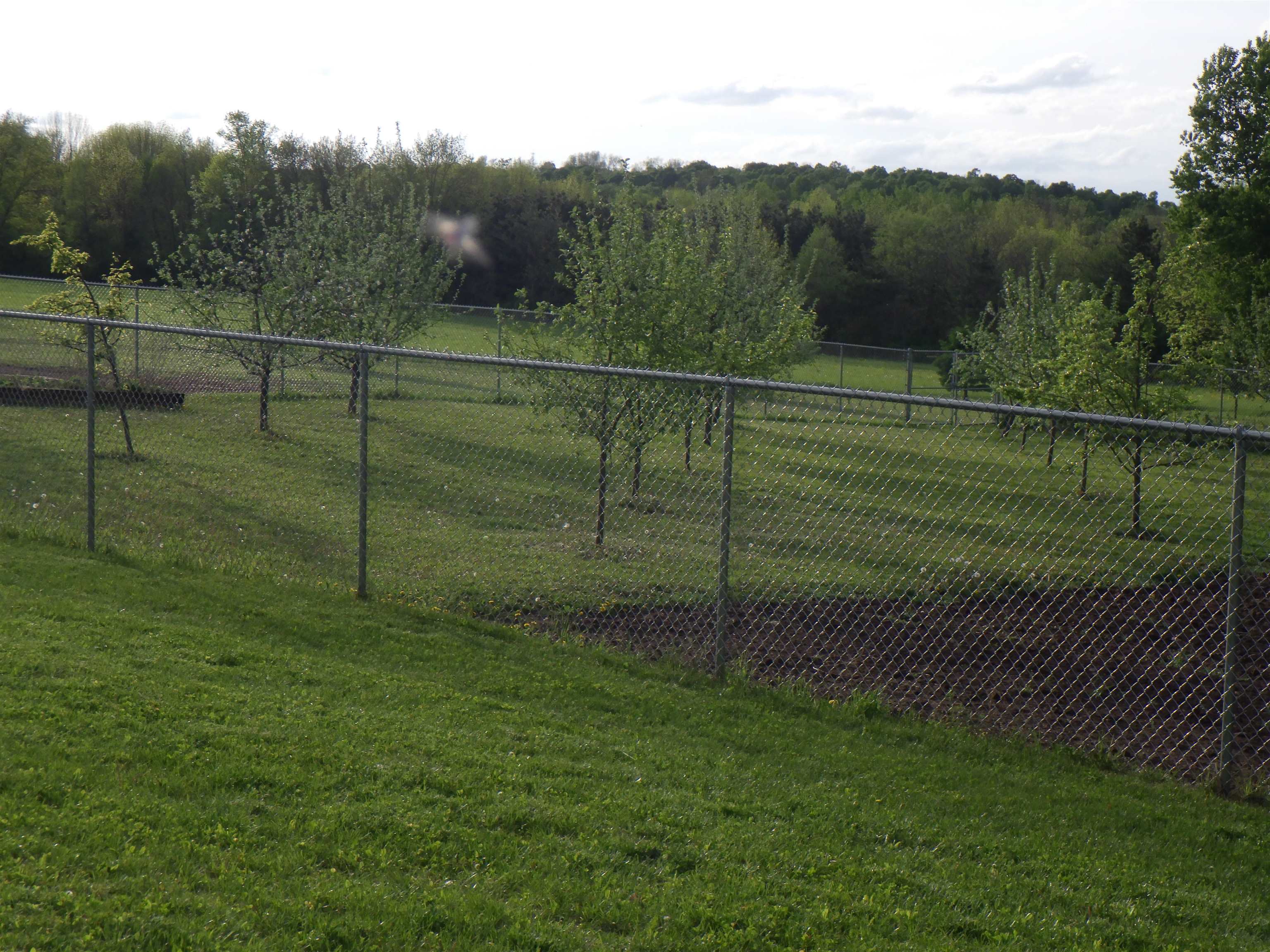Property photo 56