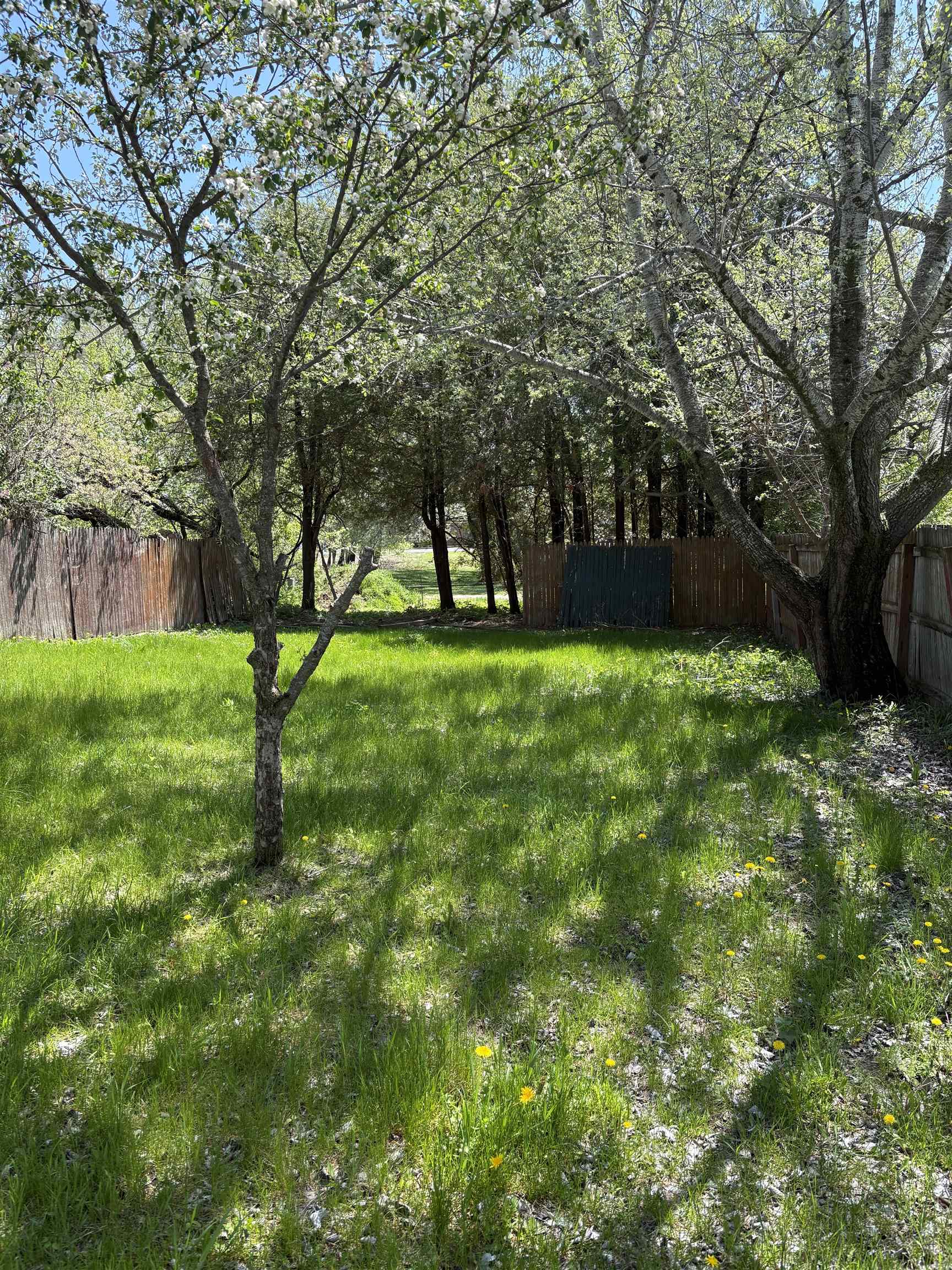 Property photo 28