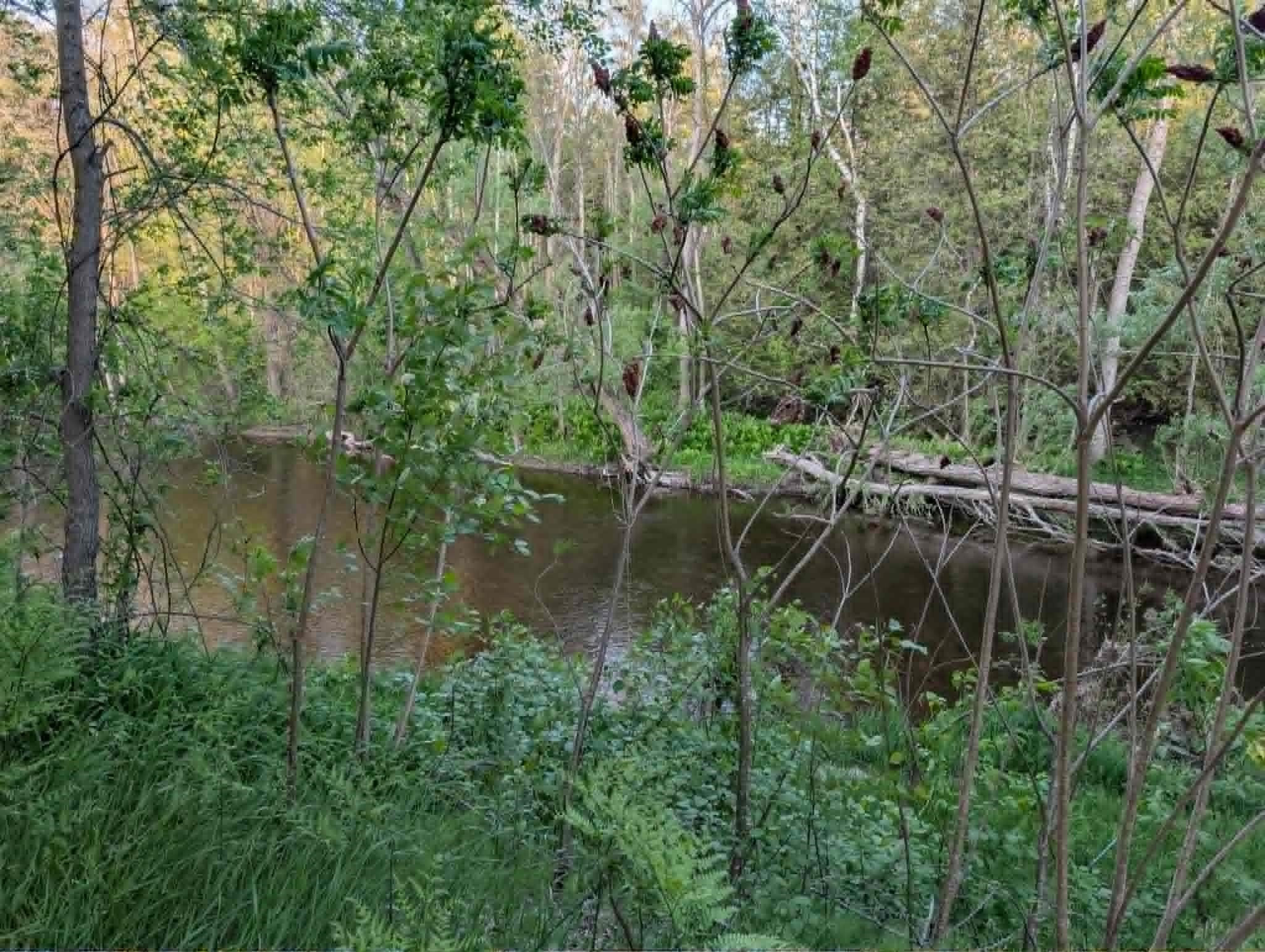 Property photo 17