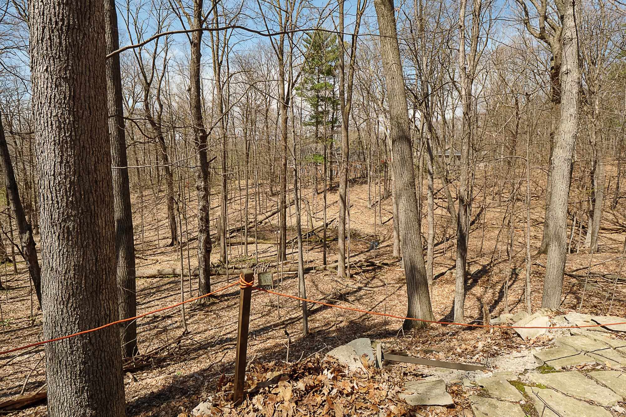 Property photo 21