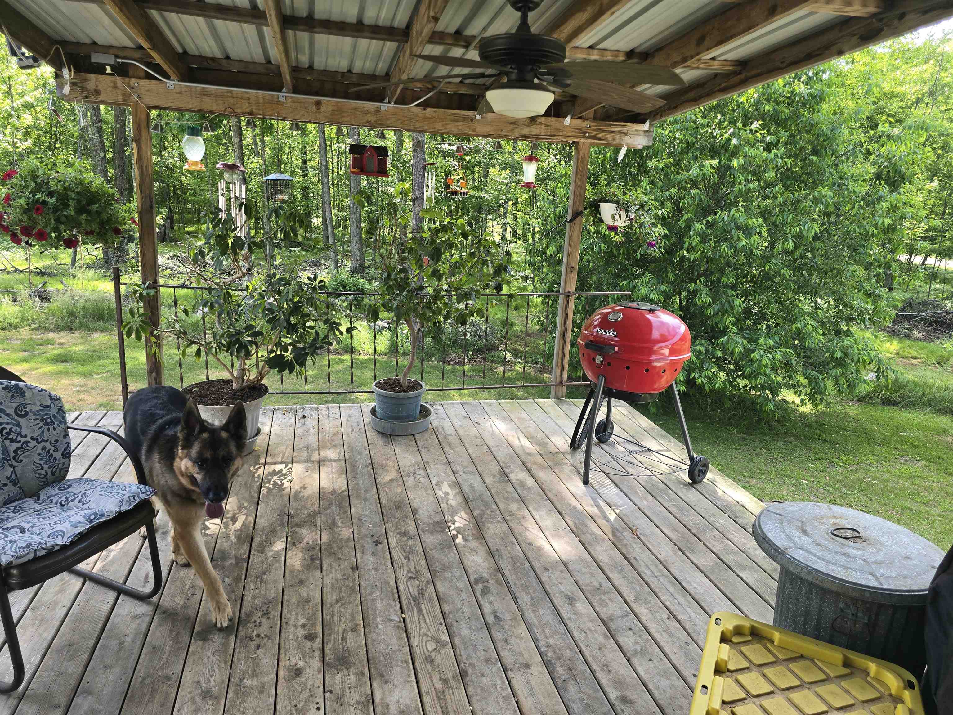 Property photo 13