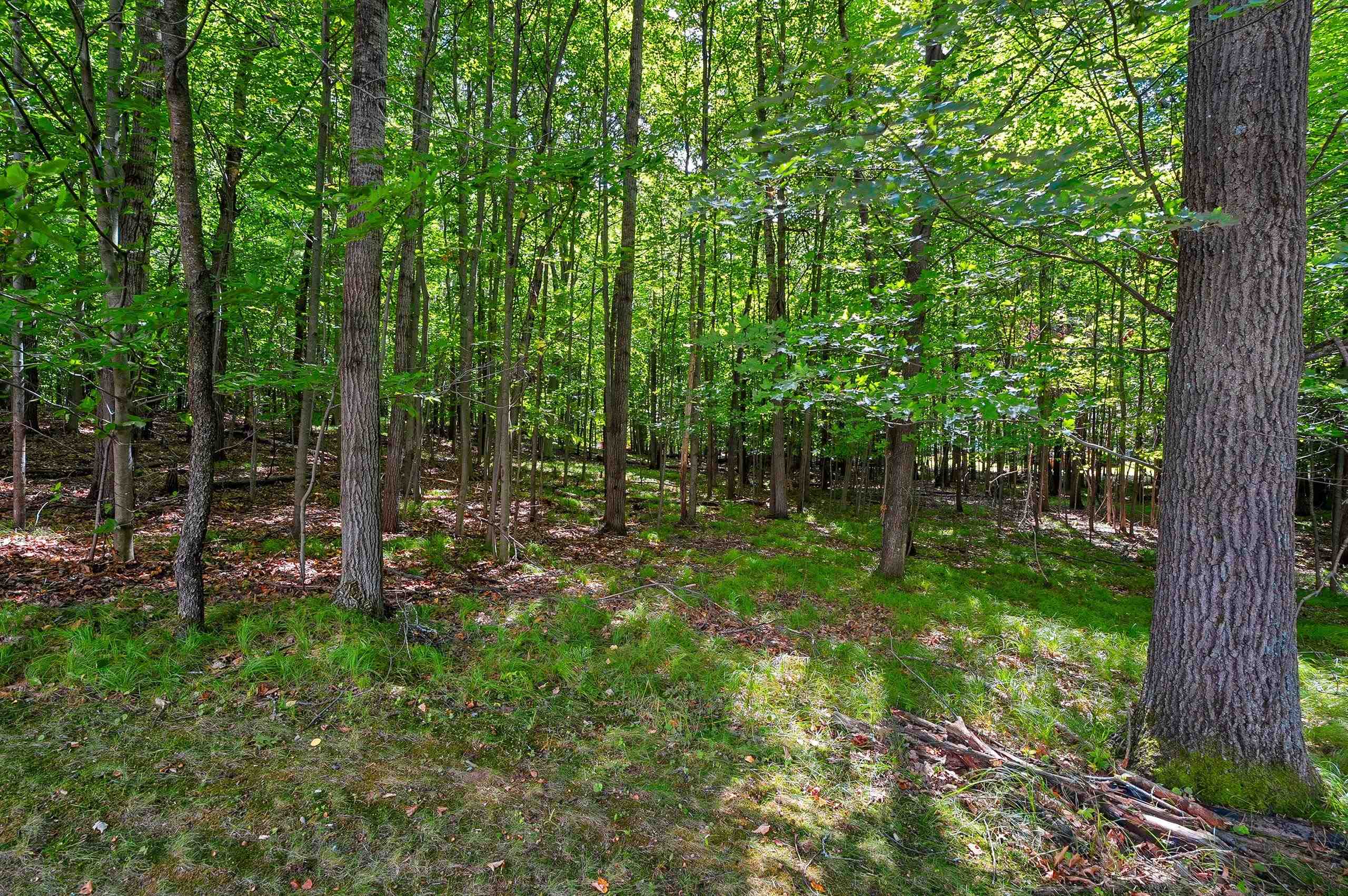 Property photo 61