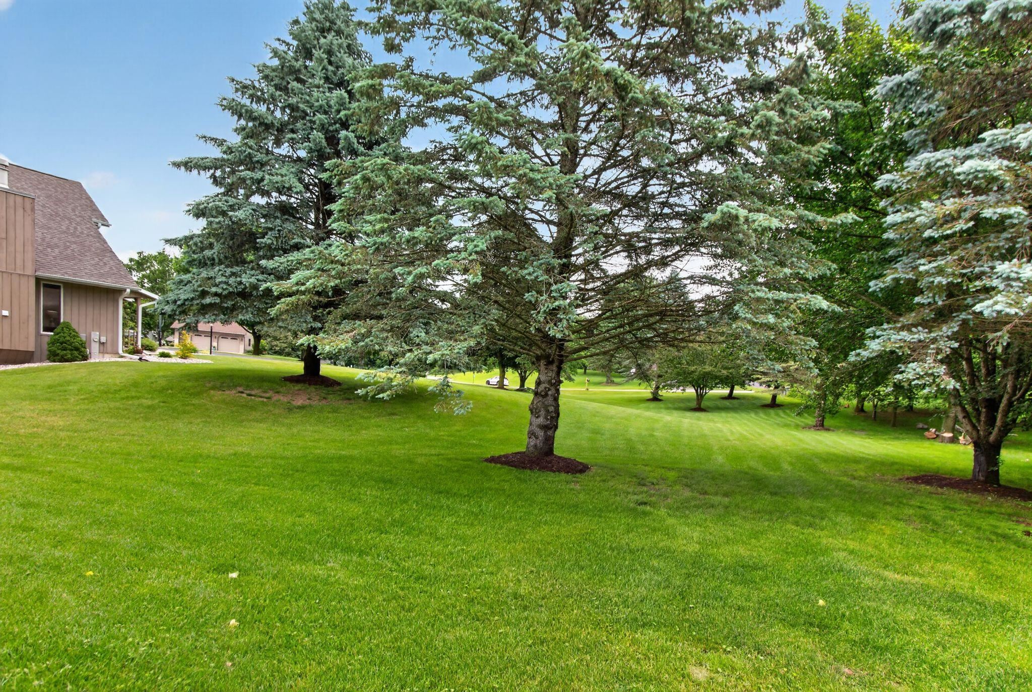 Property photo 59