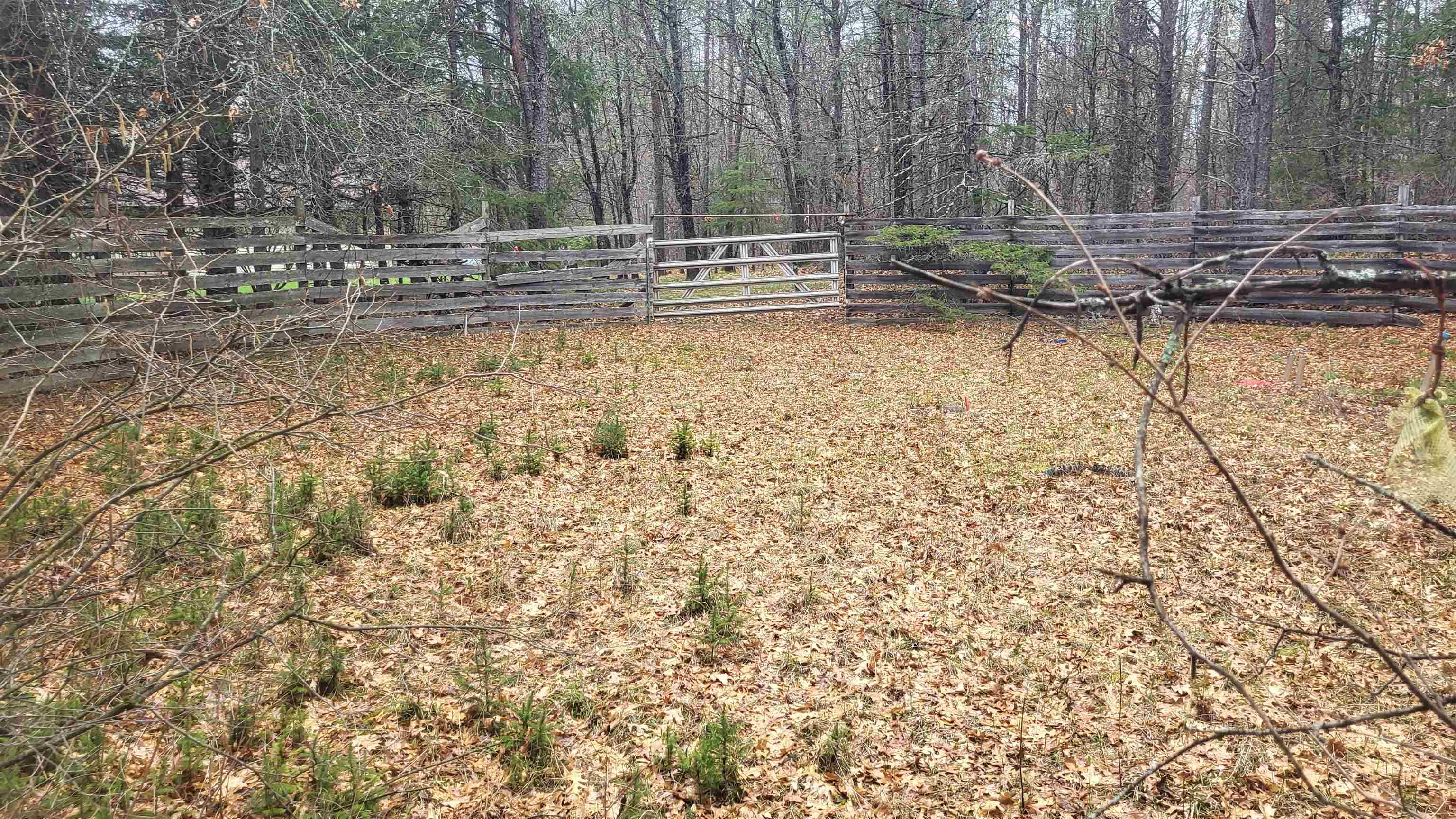 Property photo 41