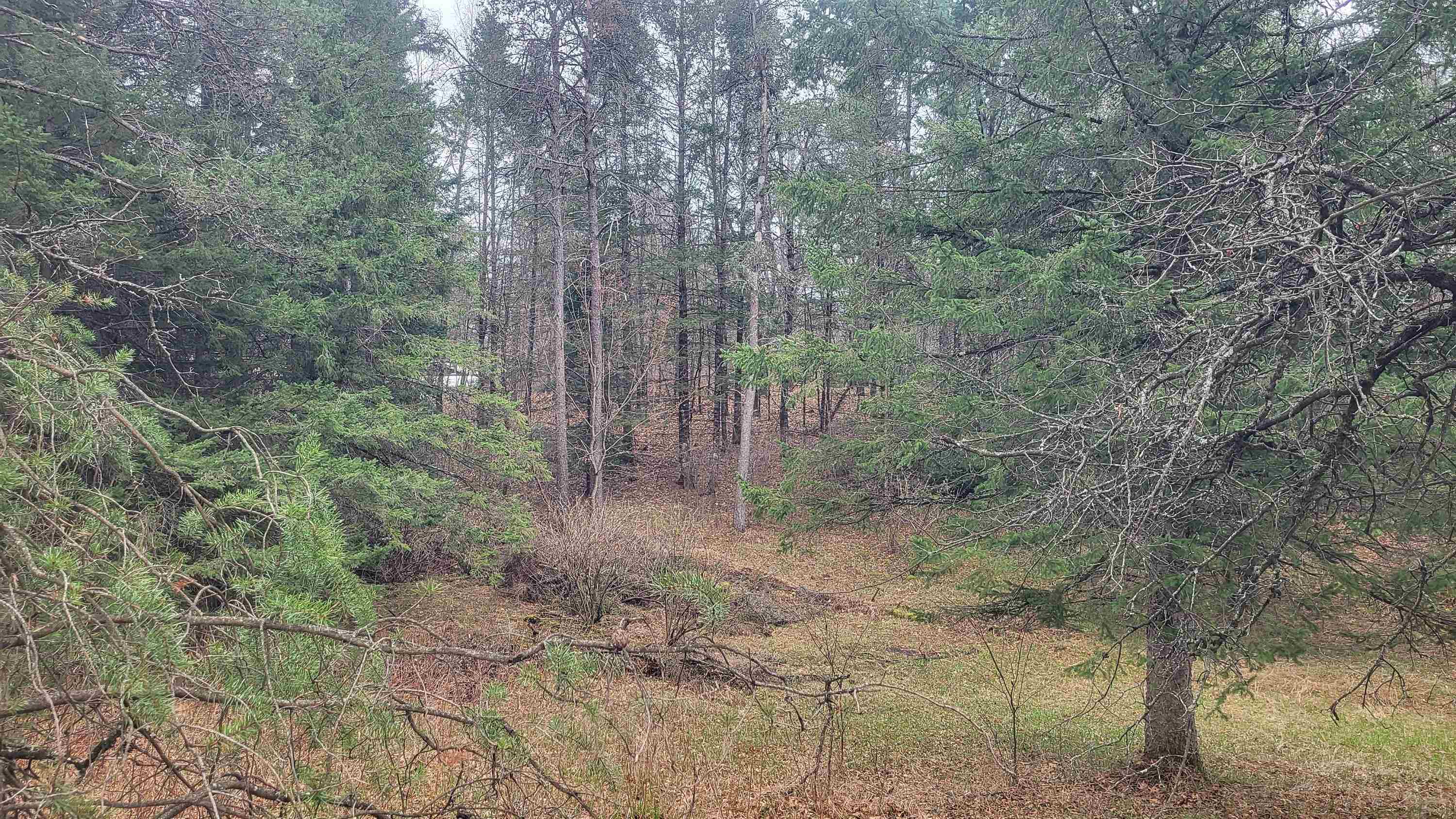 Property photo 42
