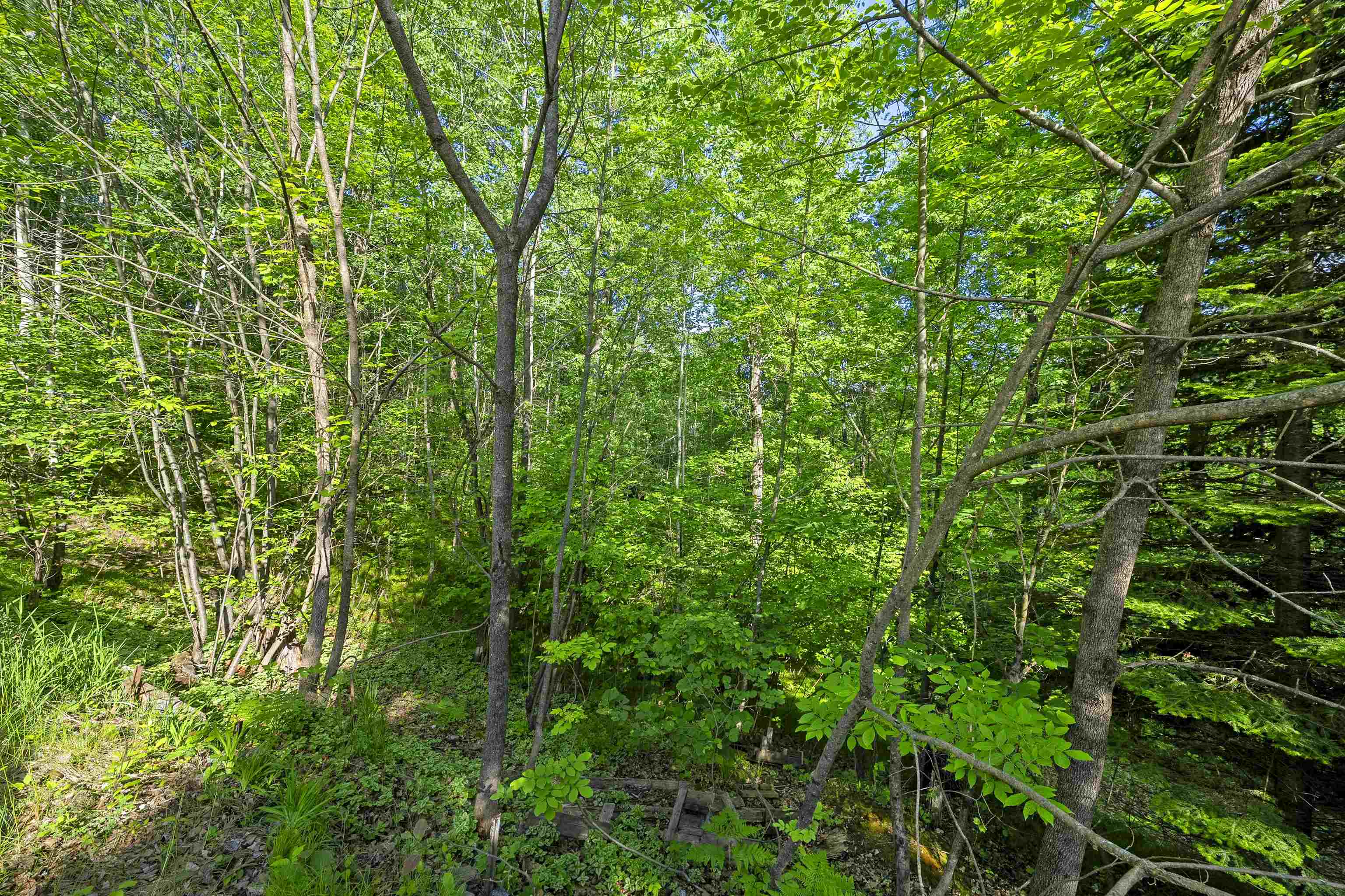 Property photo 47