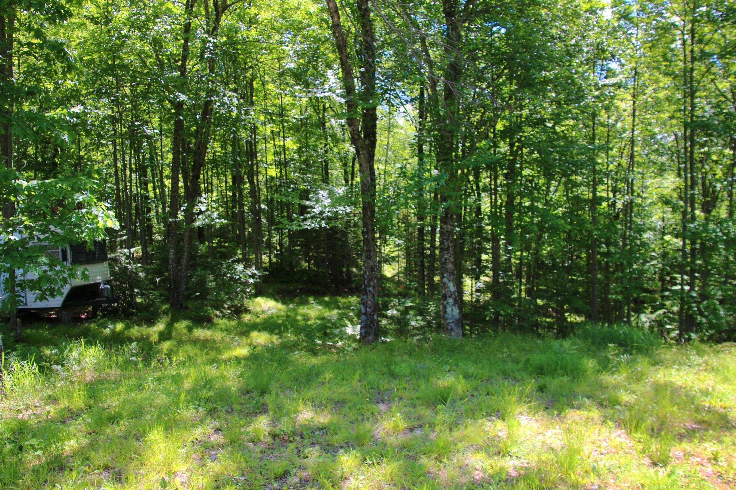 Property photo 25