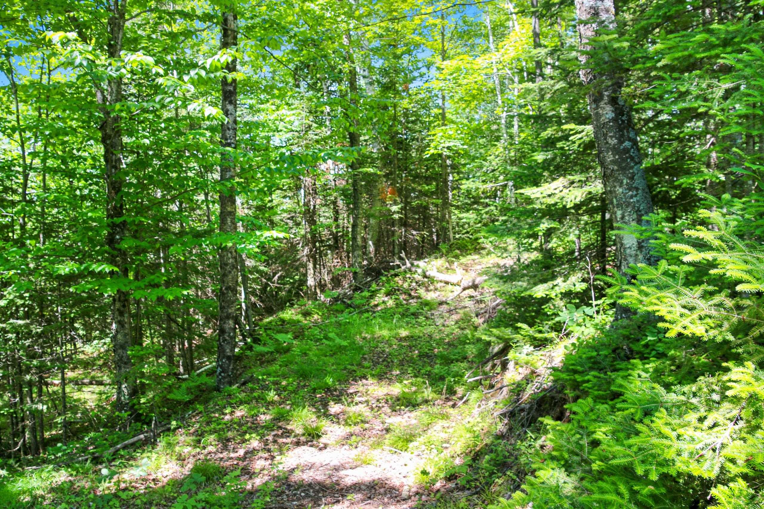Property photo 29