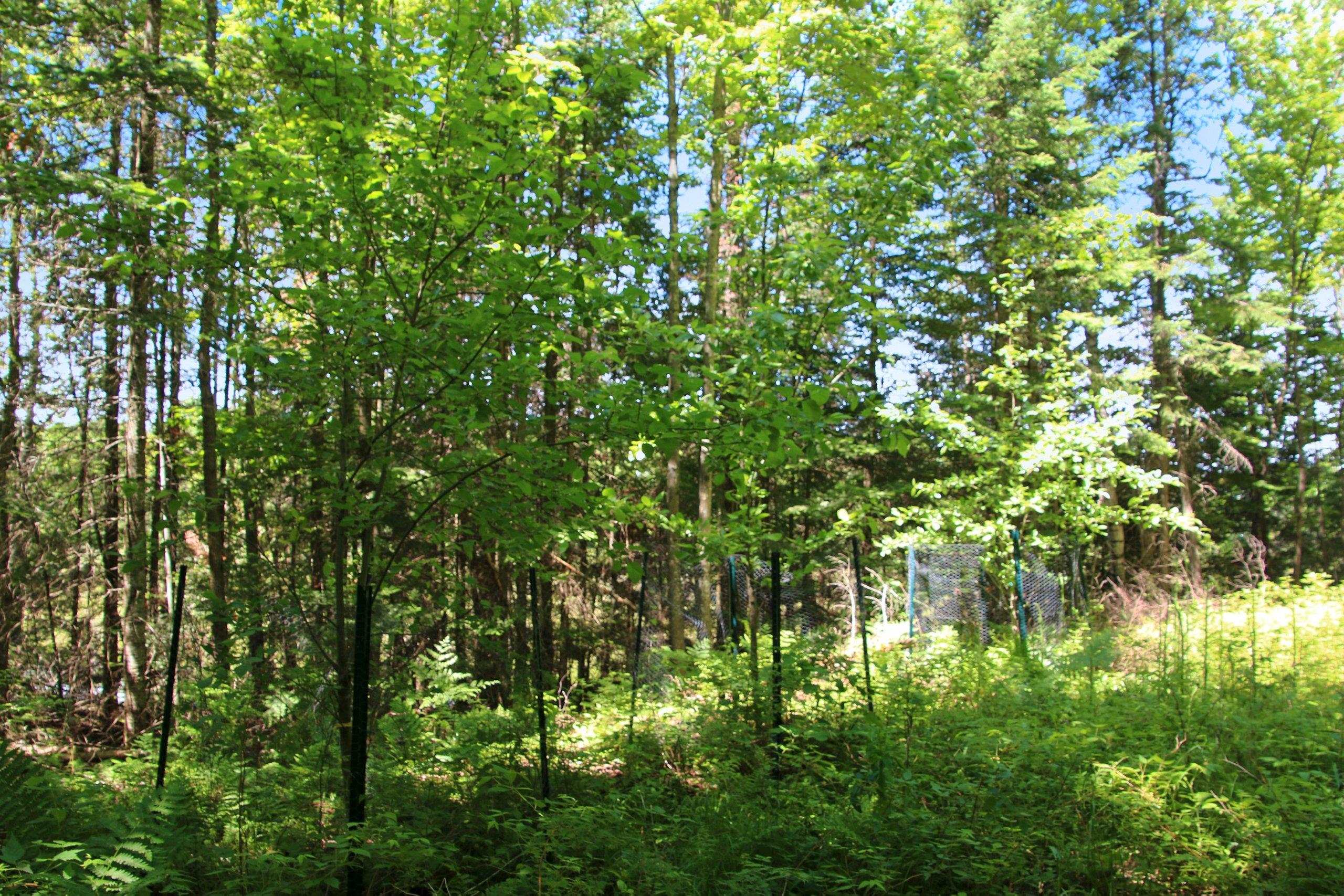 Property photo 30
